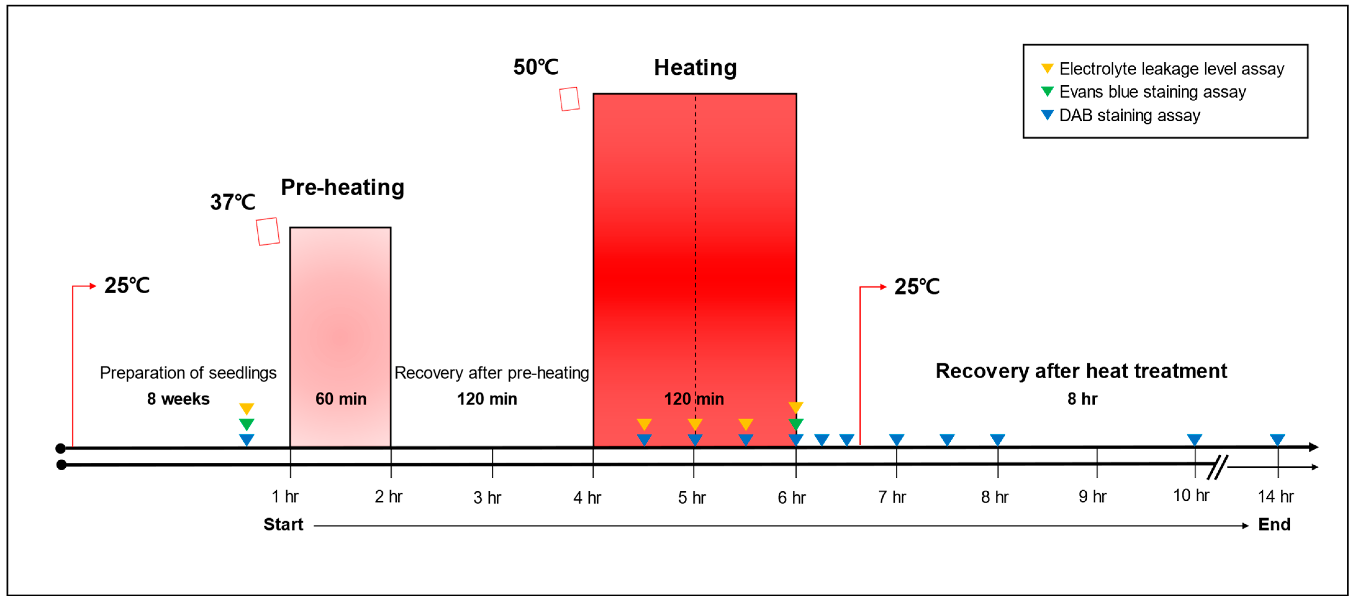 Horticulturae 10 01290 g002 Horticulturae 10 01290 g002