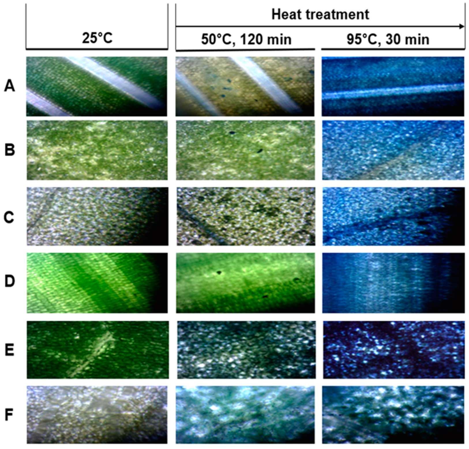 Horticulturae 10 01290 g007 Horticulturae 10 01290 g007