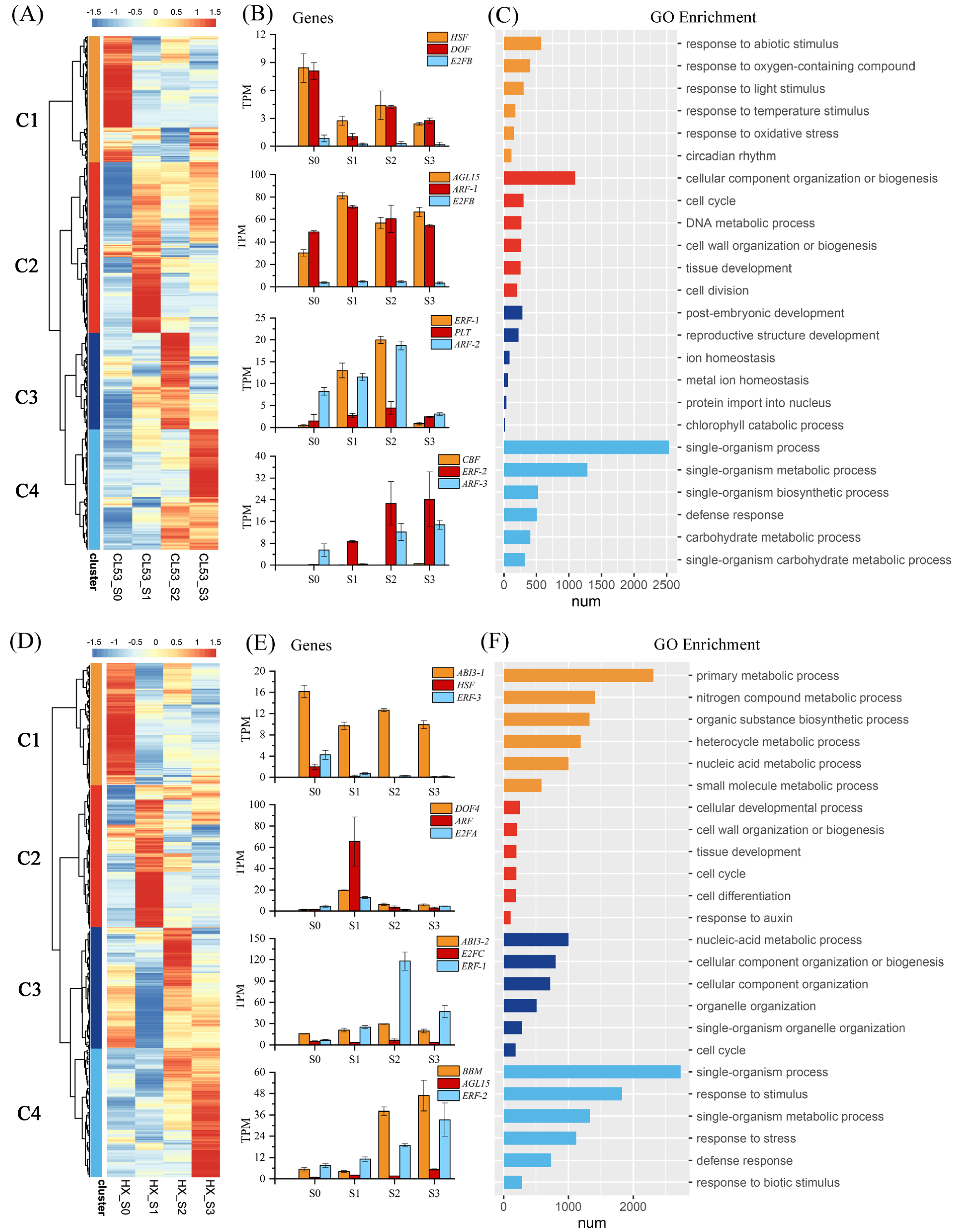Horticulturae 10 01291 g002