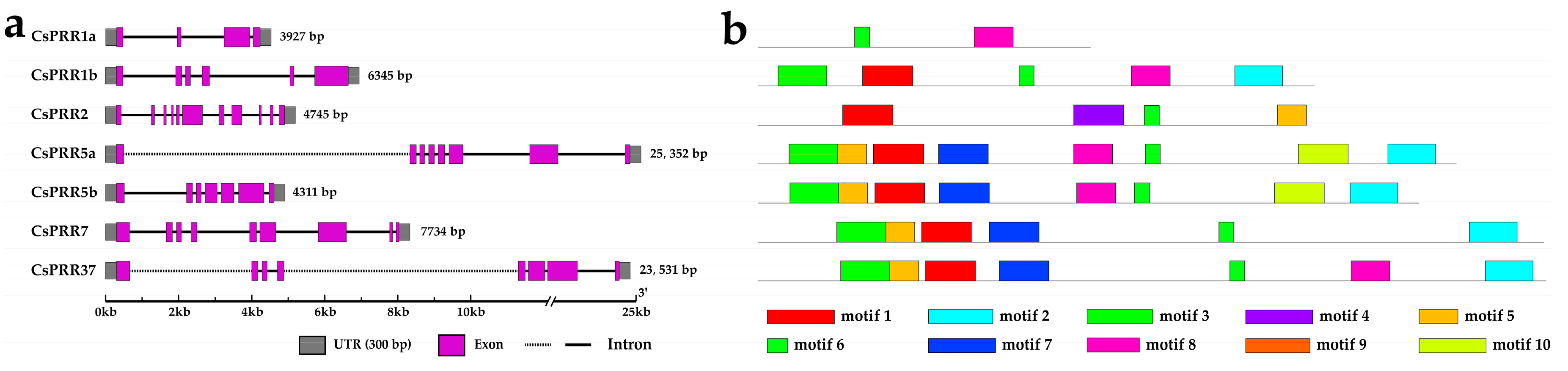 Horticulturae 10 01294 g002
