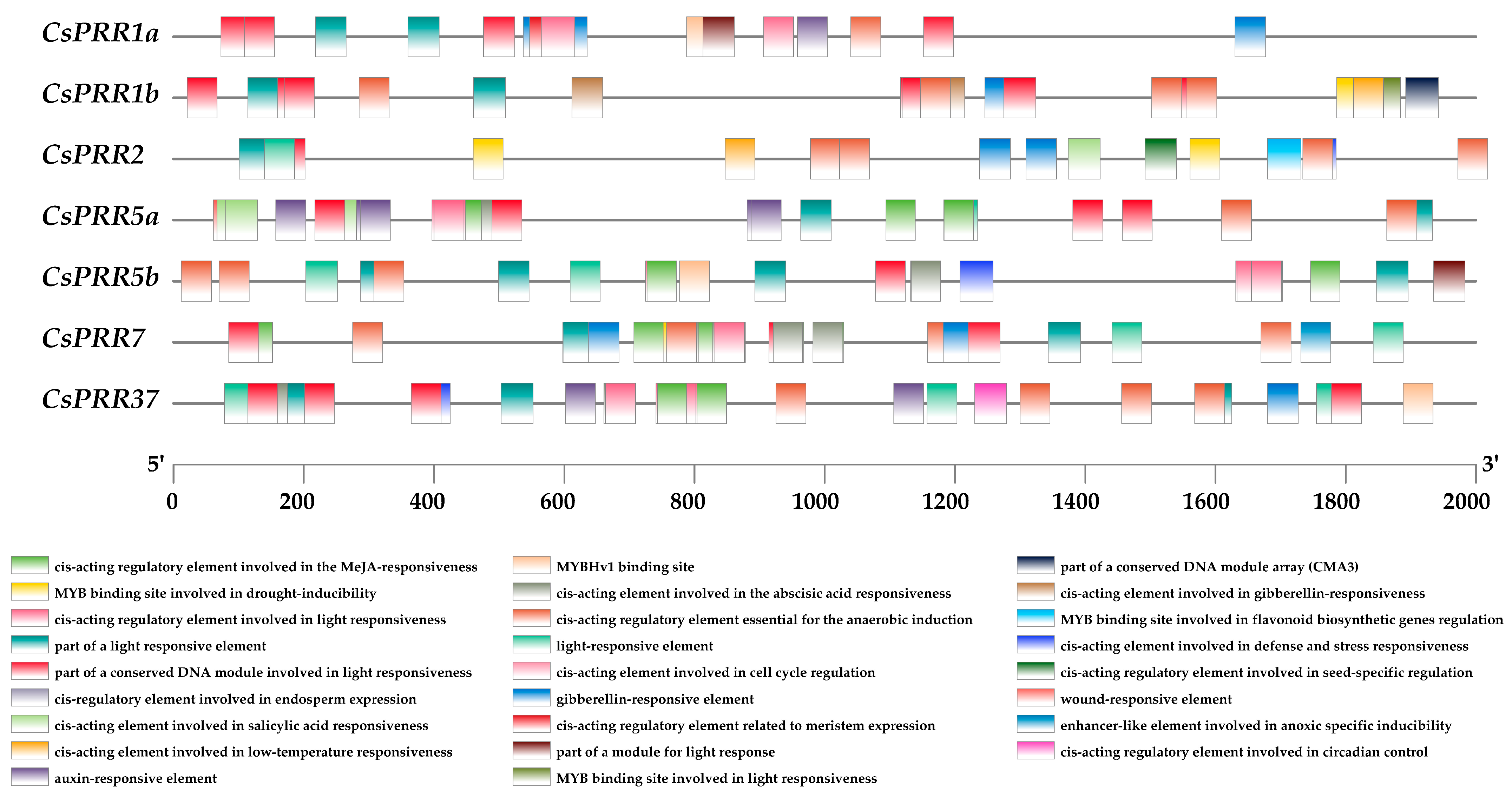 Horticulturae 10 01294 g003