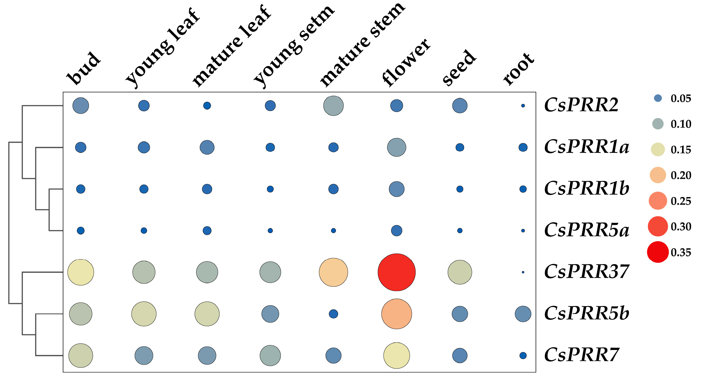 Horticulturae 10 01294 g004
