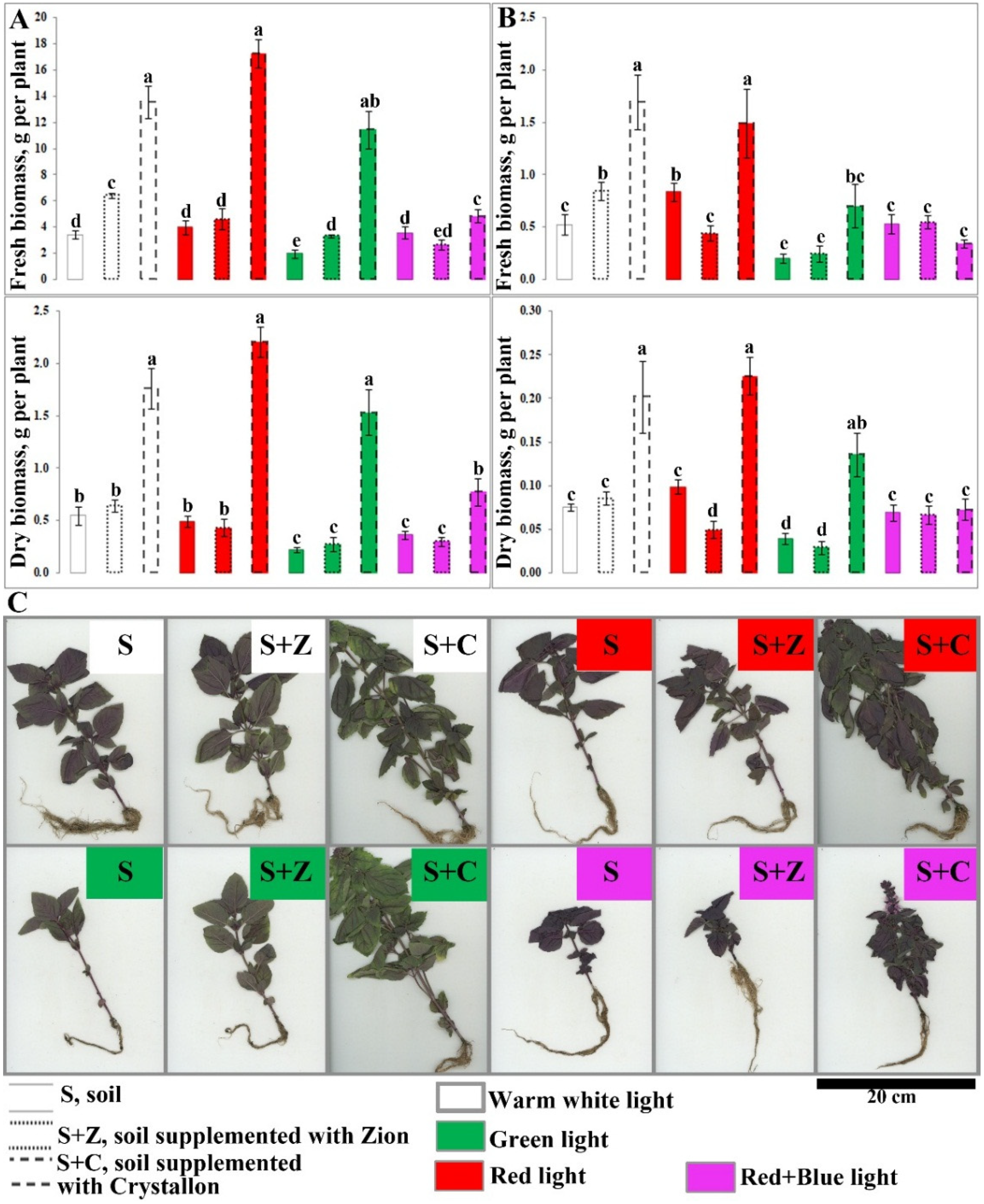 Horticulturae 10 01295 g001