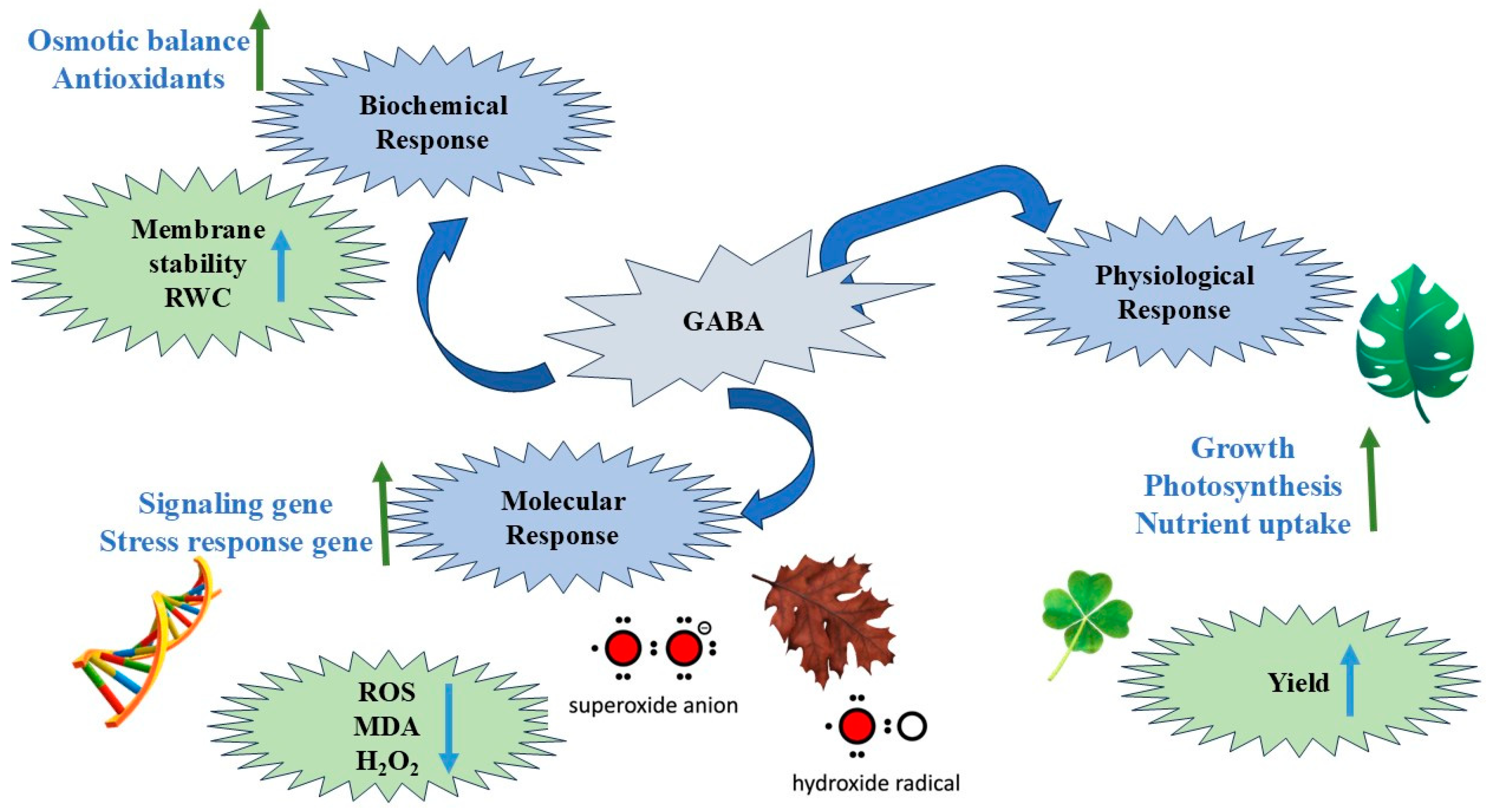 Horticulturae 10 01296 g003 Horticulturae 10 01296 g003