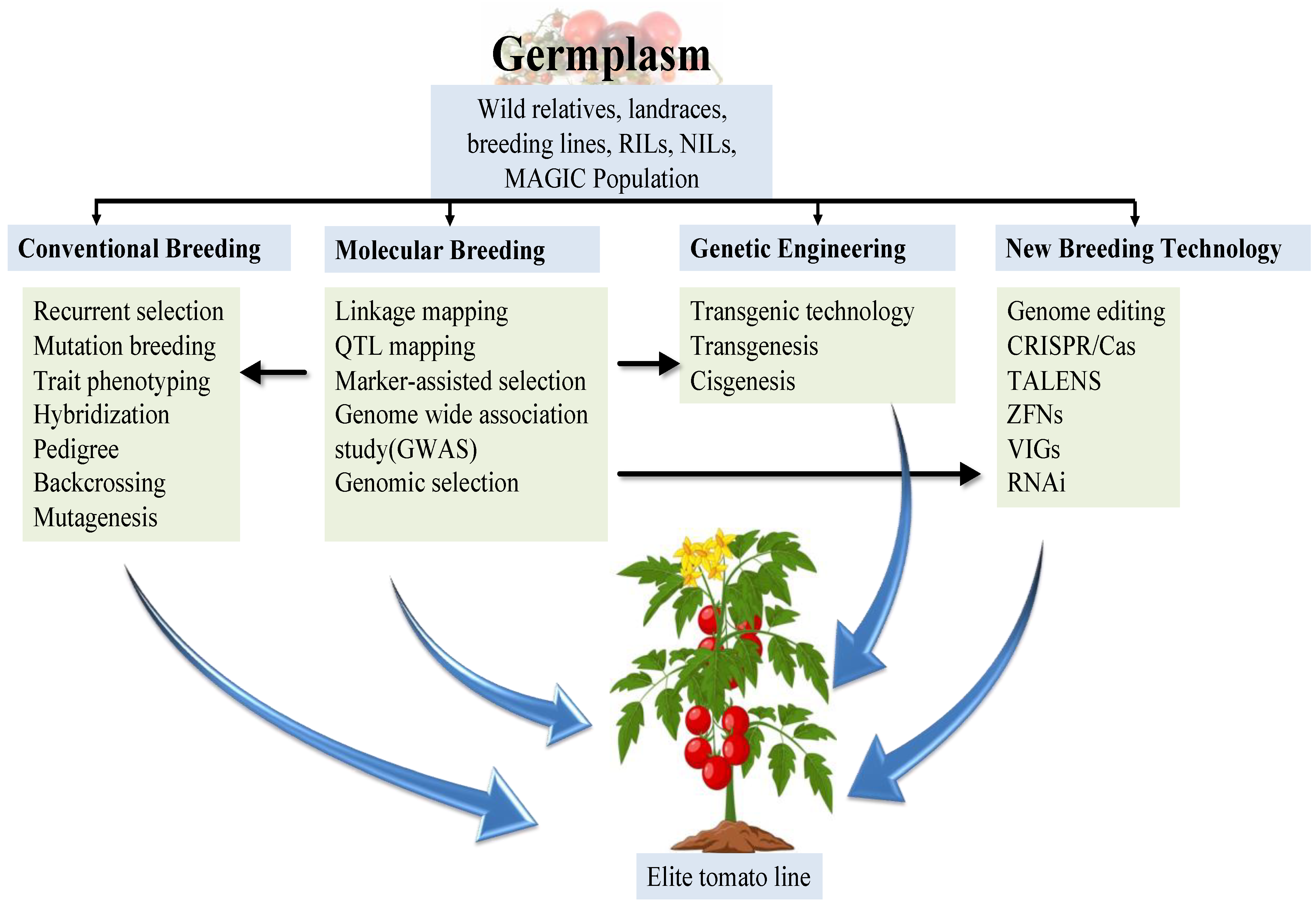 Horticulturae 10 01299 g005