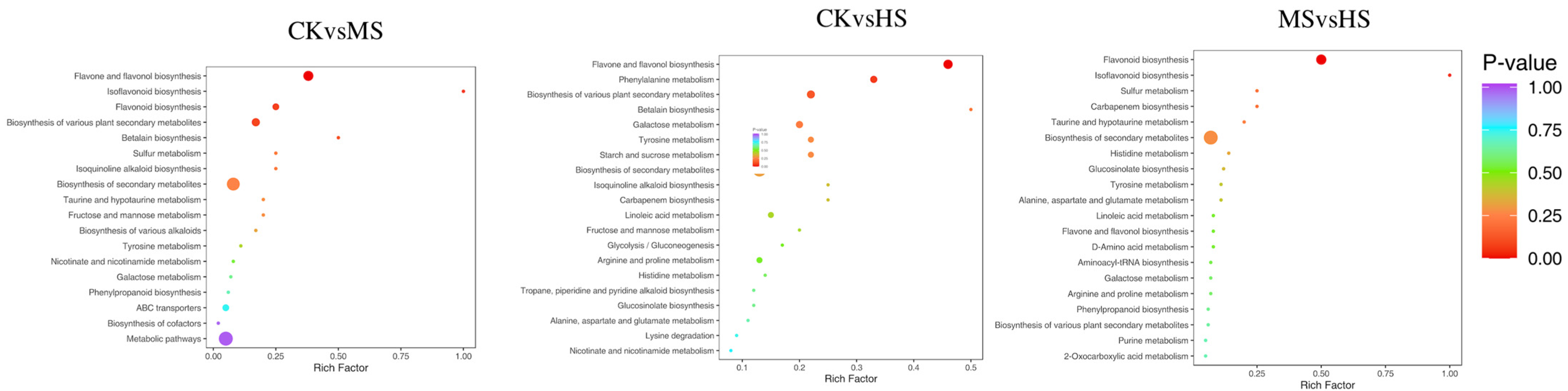 Horticulturae 10 01303 g004