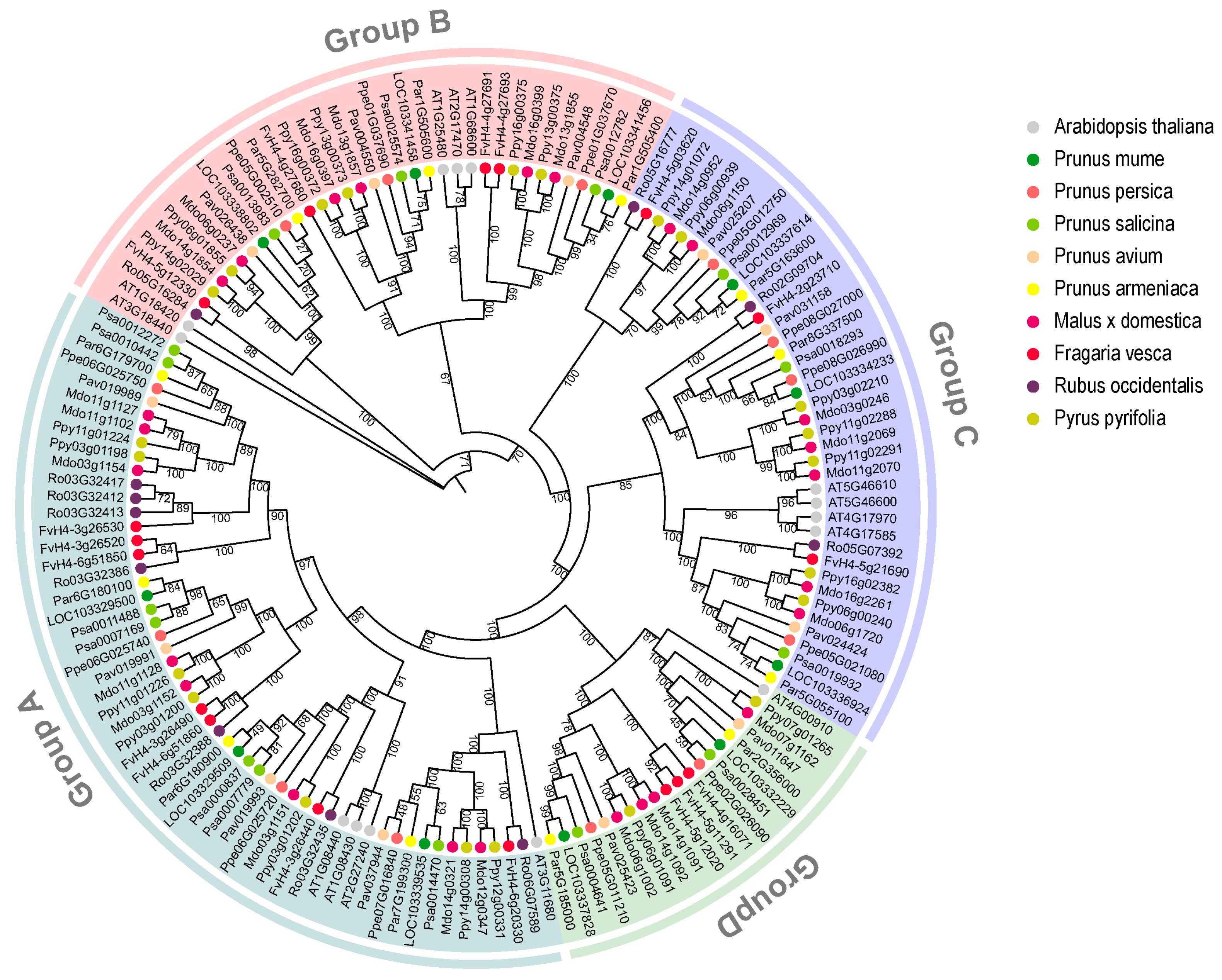 Horticulturae 10 01305 g001
