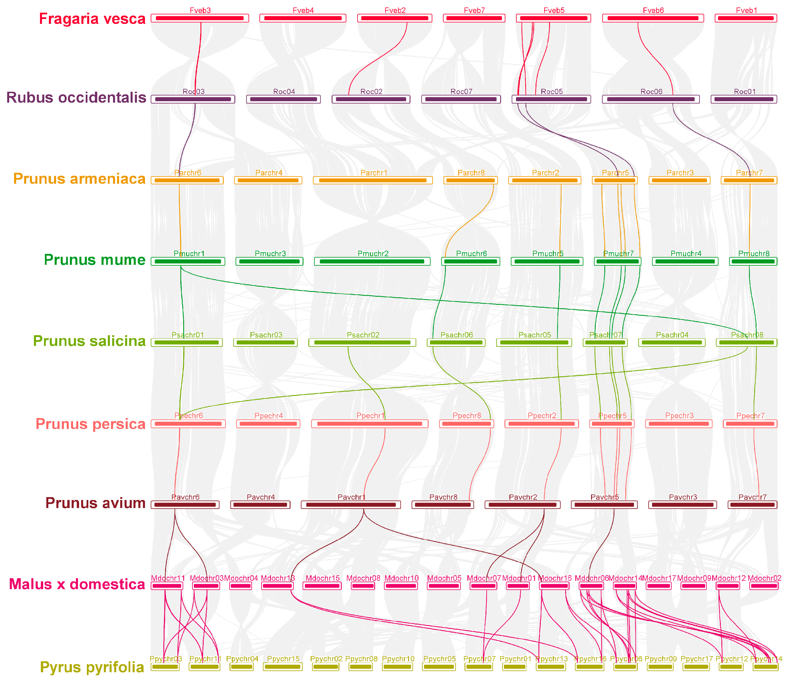 Horticulturae 10 01305 g004