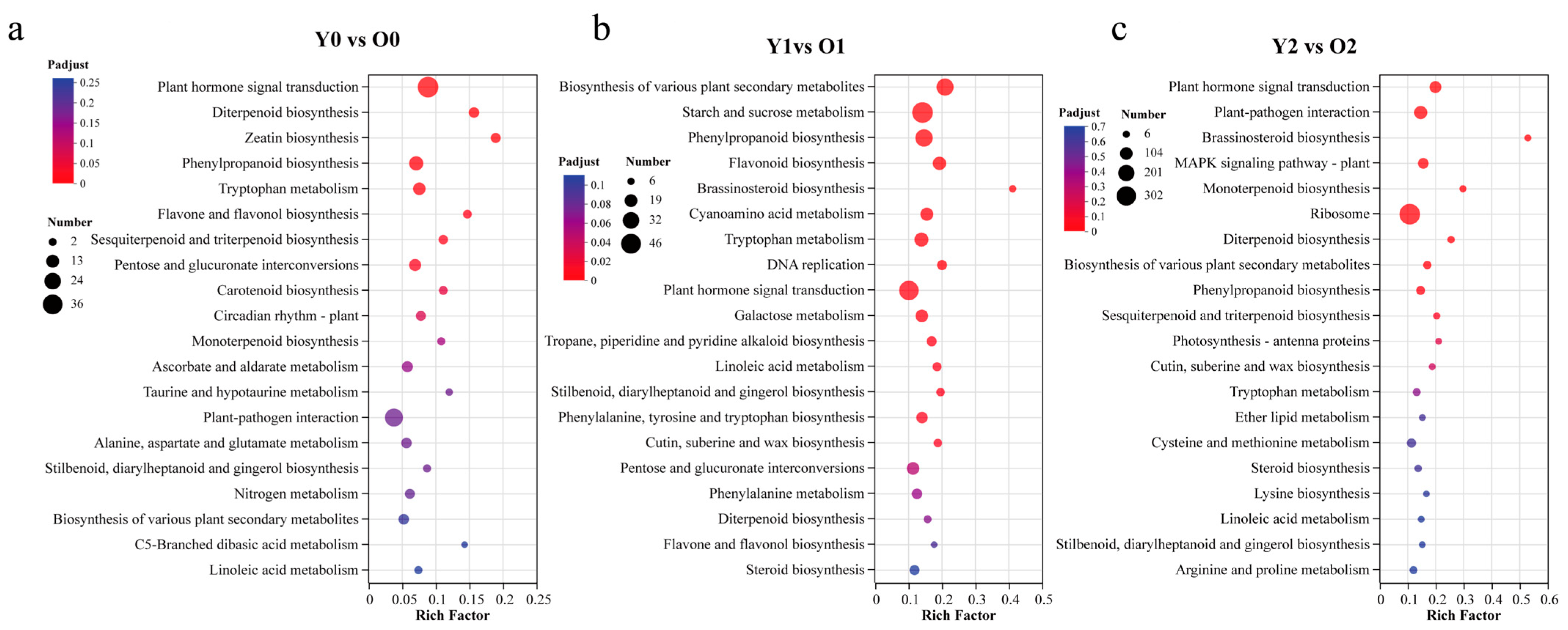 Horticulturae 10 01306 g004