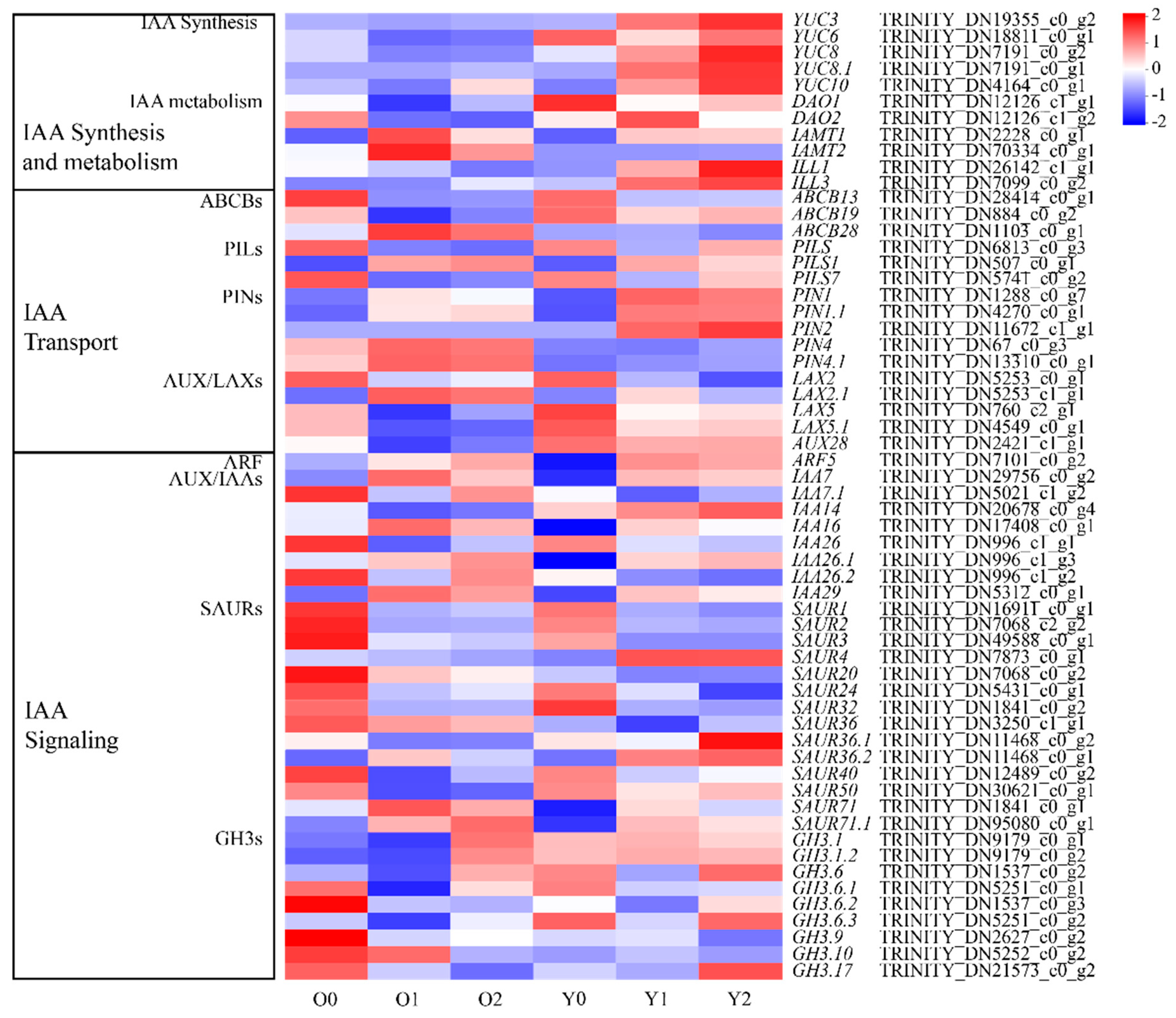 Horticulturae 10 01306 g005