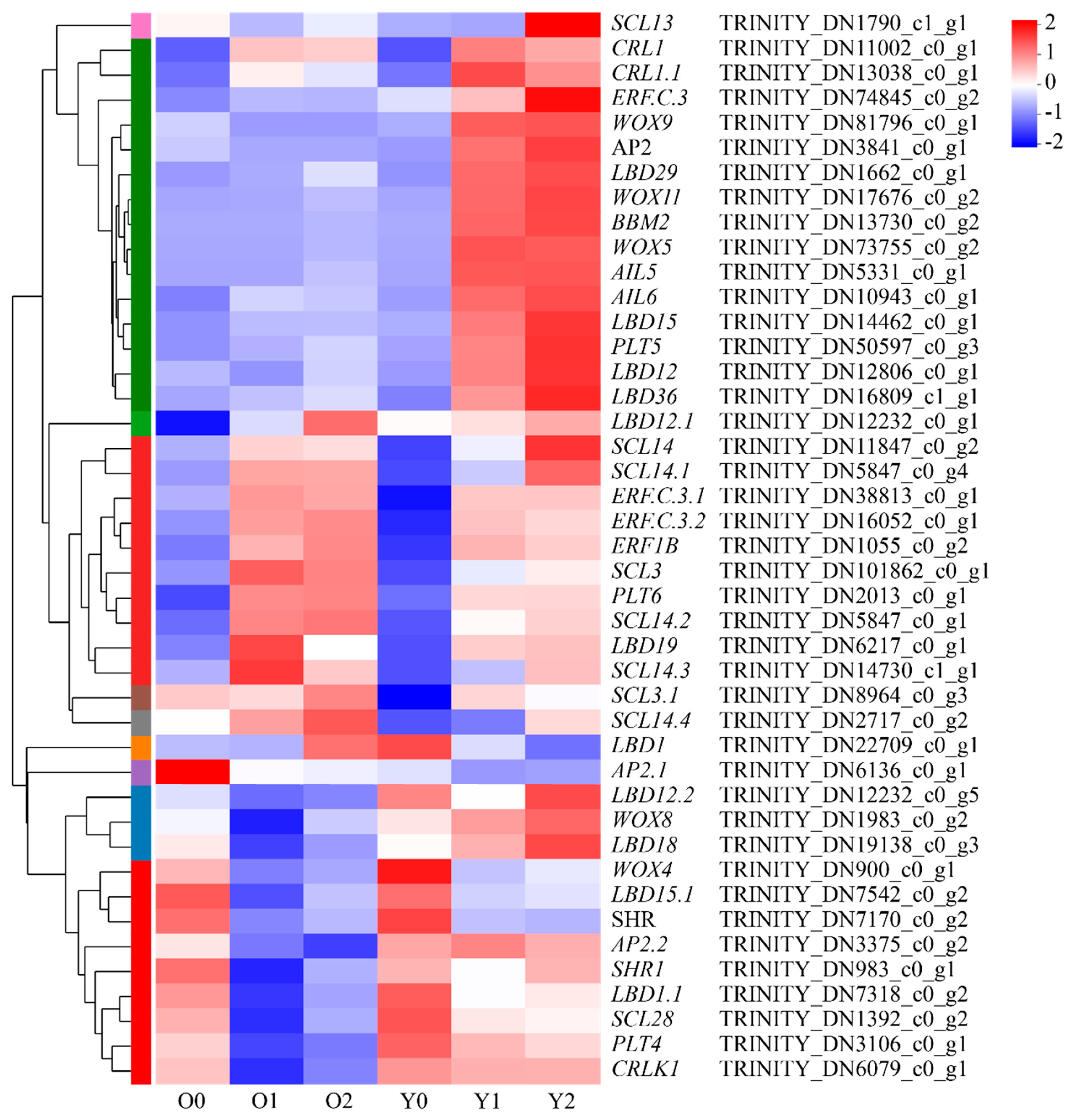 Horticulturae 10 01306 g008