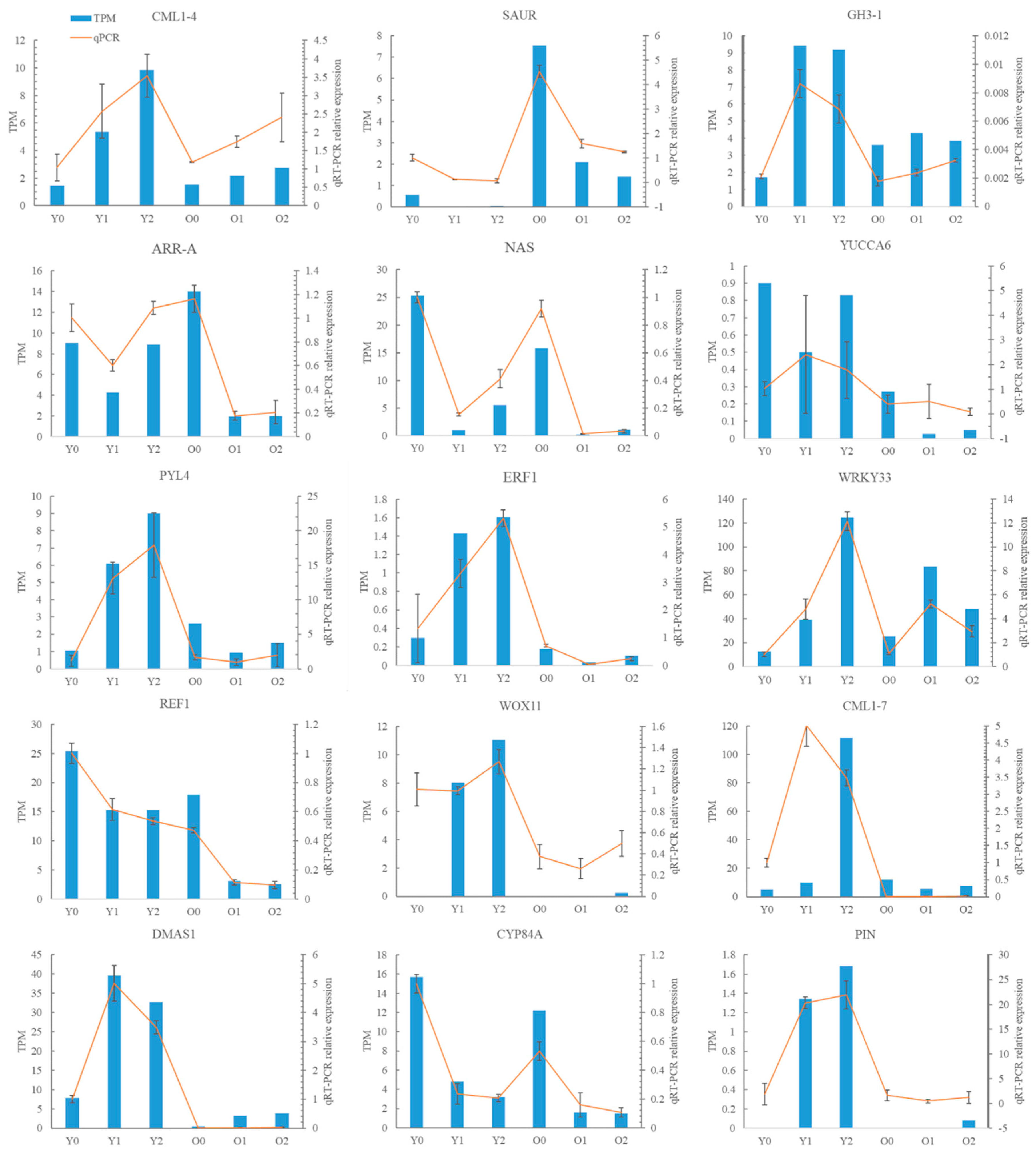 Horticulturae 10 01306 g009