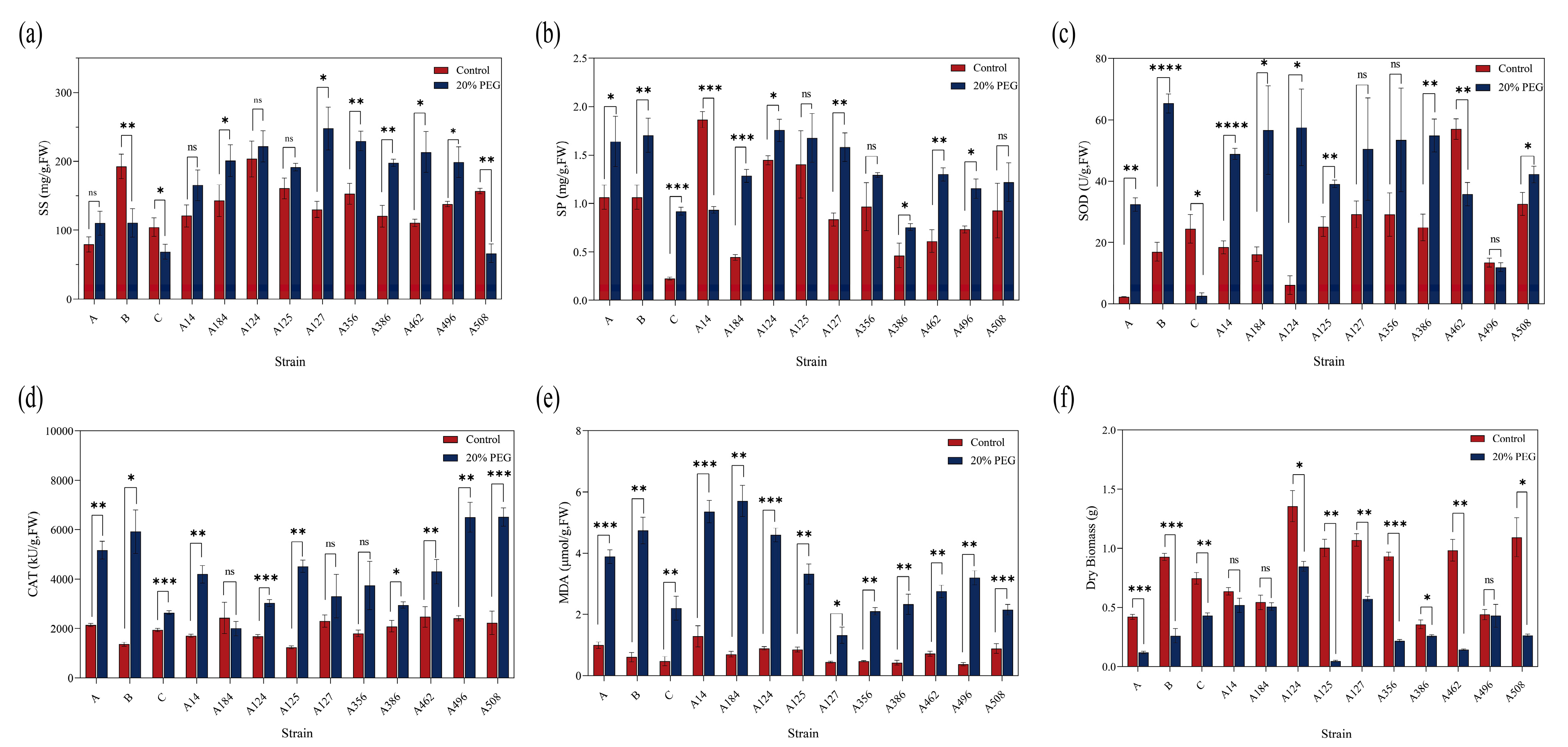 Horticulturae 10 01312 g002