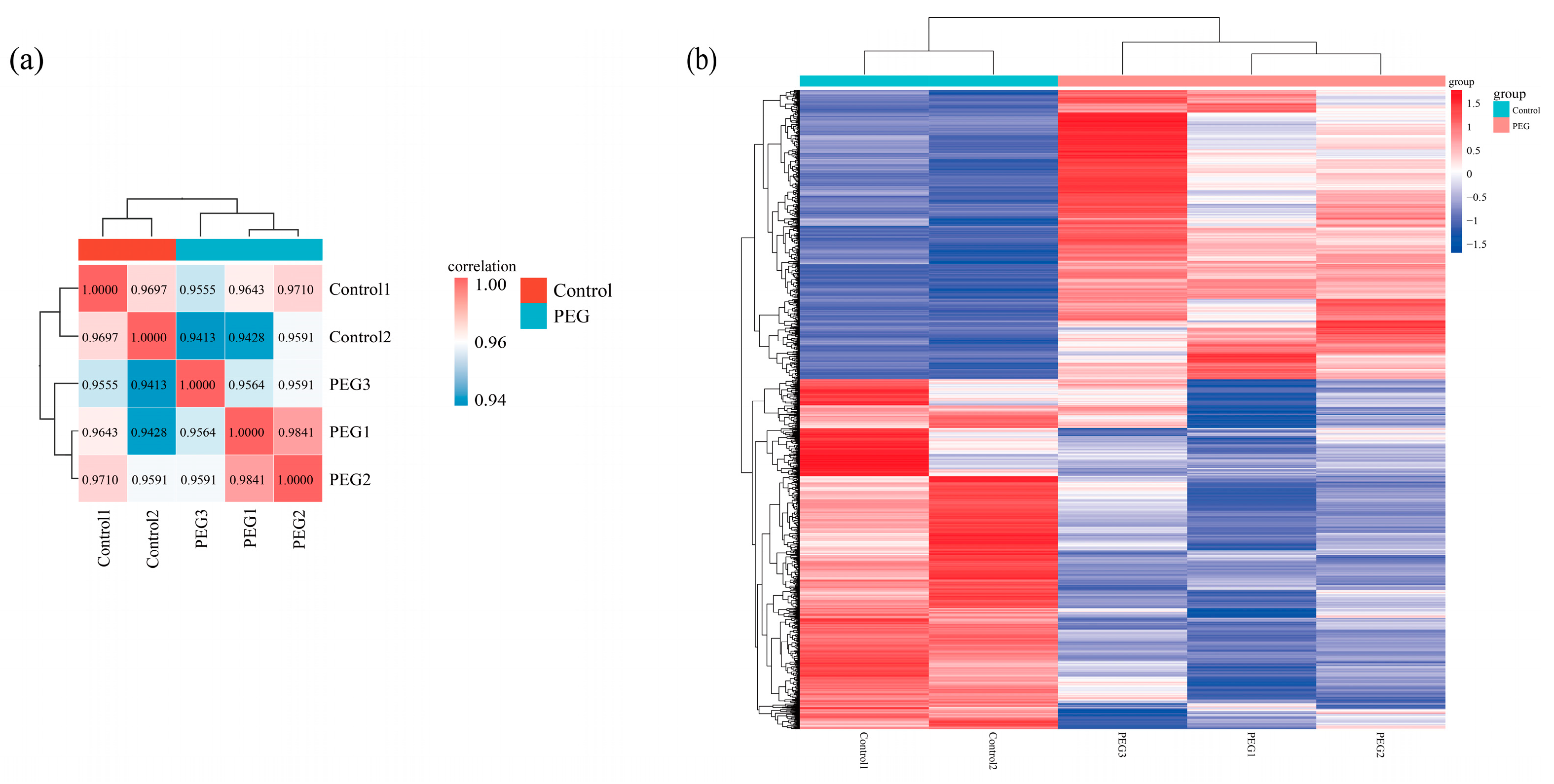 Horticulturae 10 01312 g003