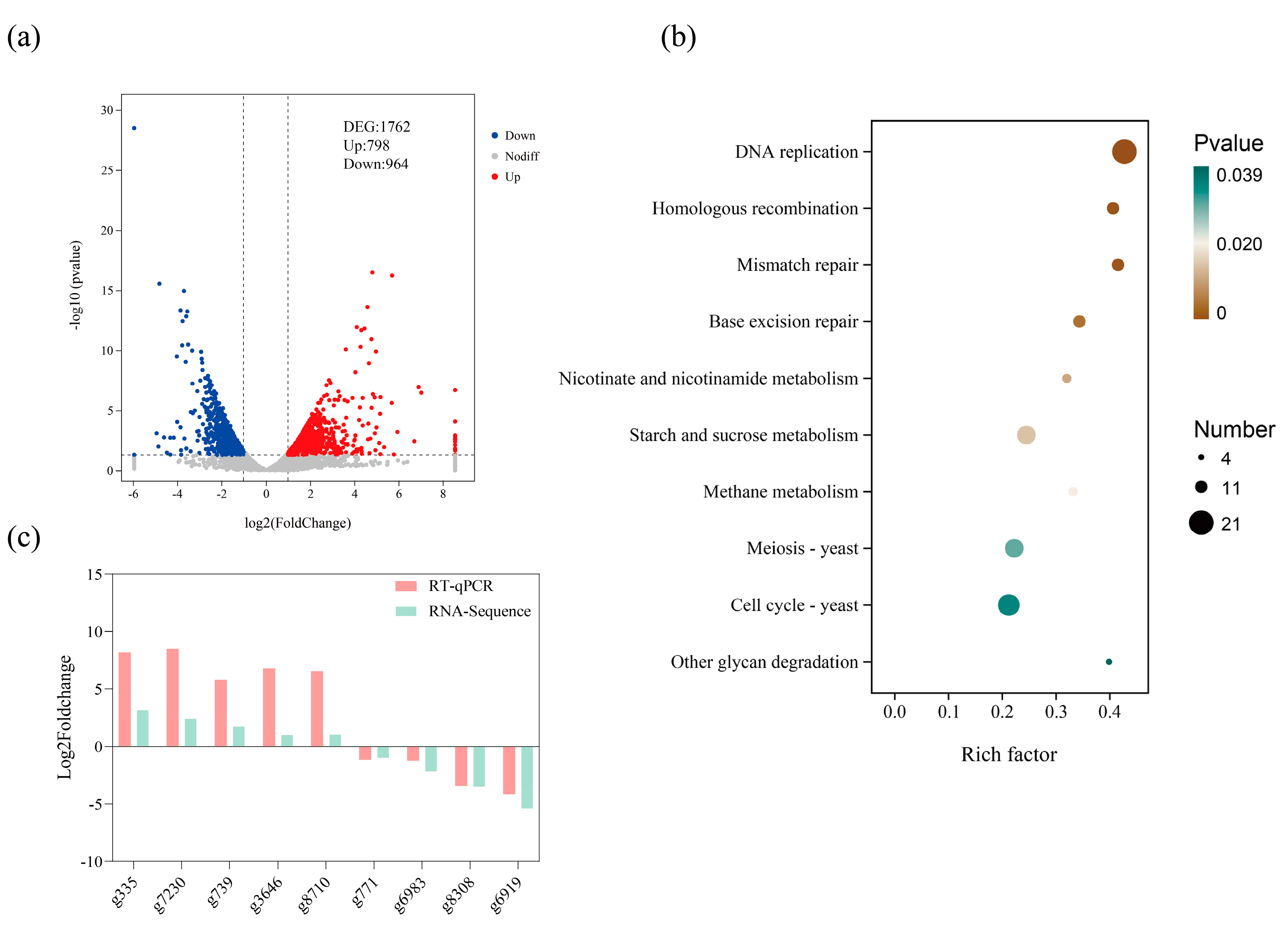 Horticulturae 10 01312 g004