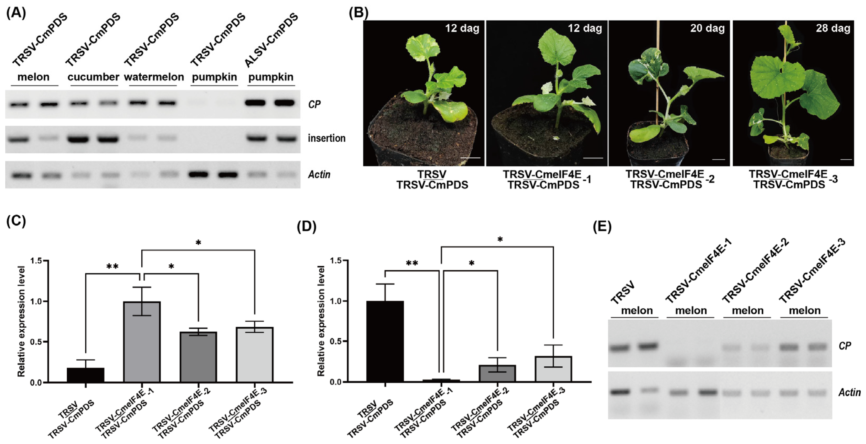 Horticulturae 10 01313 g005