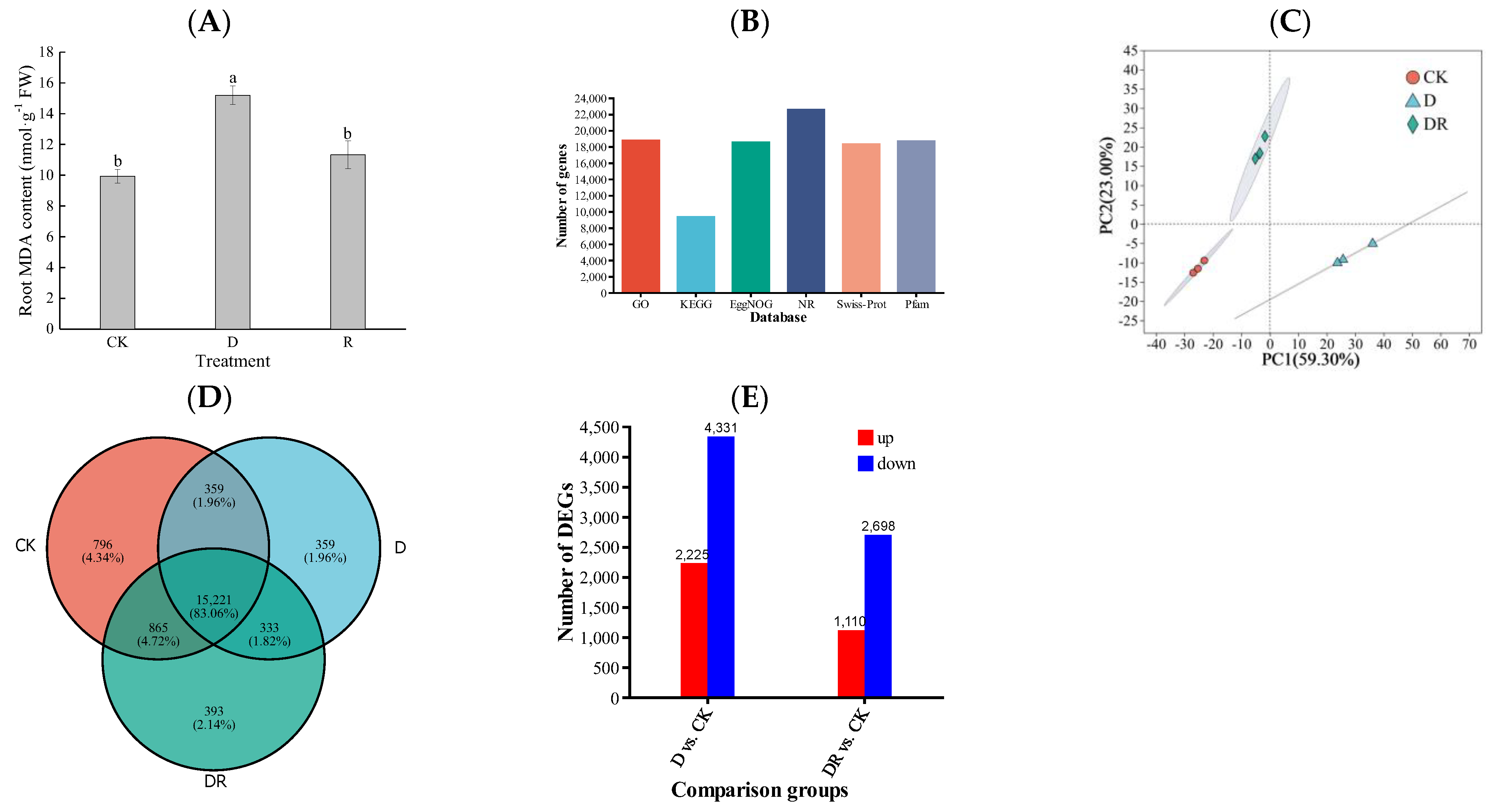 Horticulturae 10 01319 g001