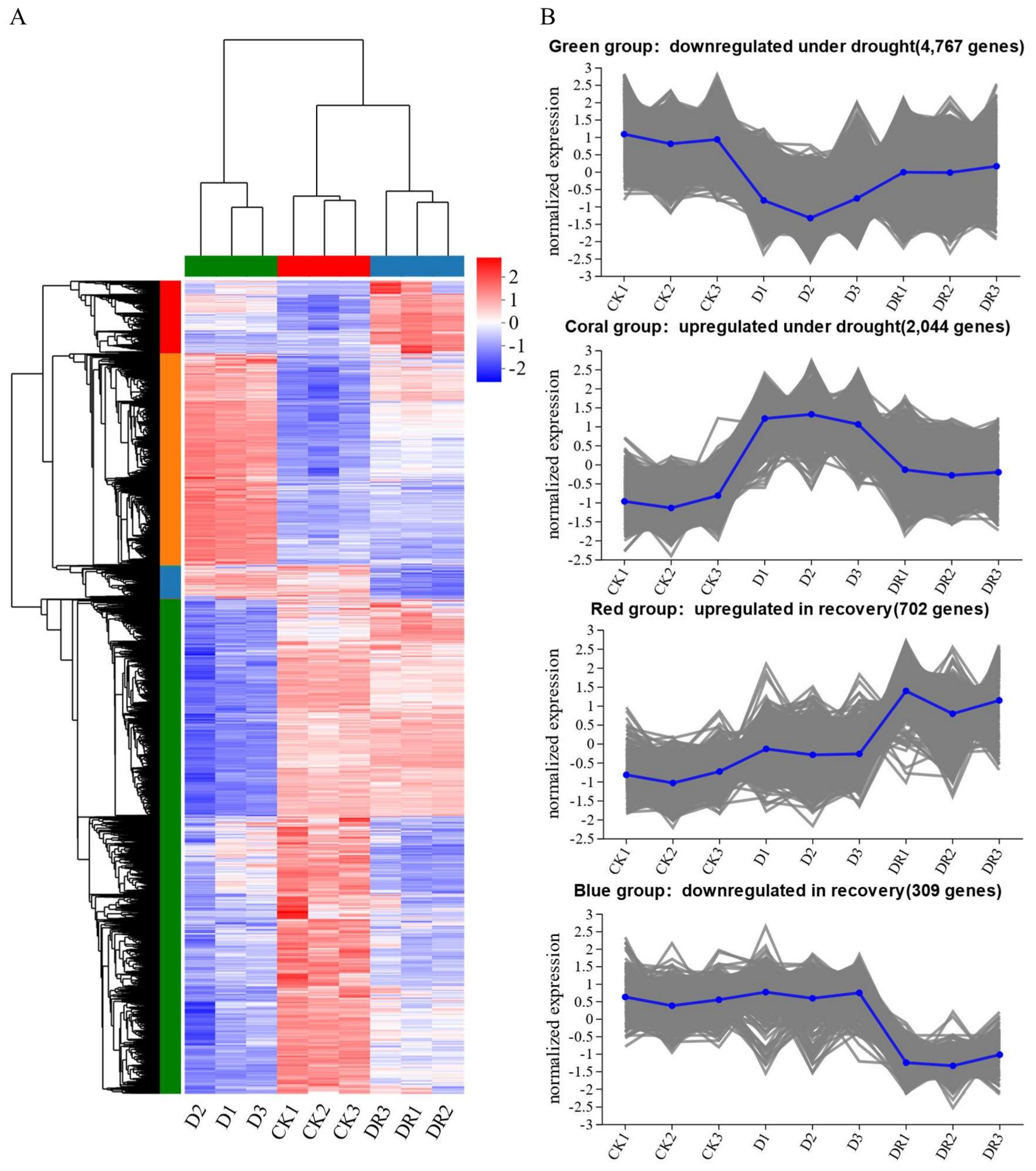 Horticulturae 10 01319 g002