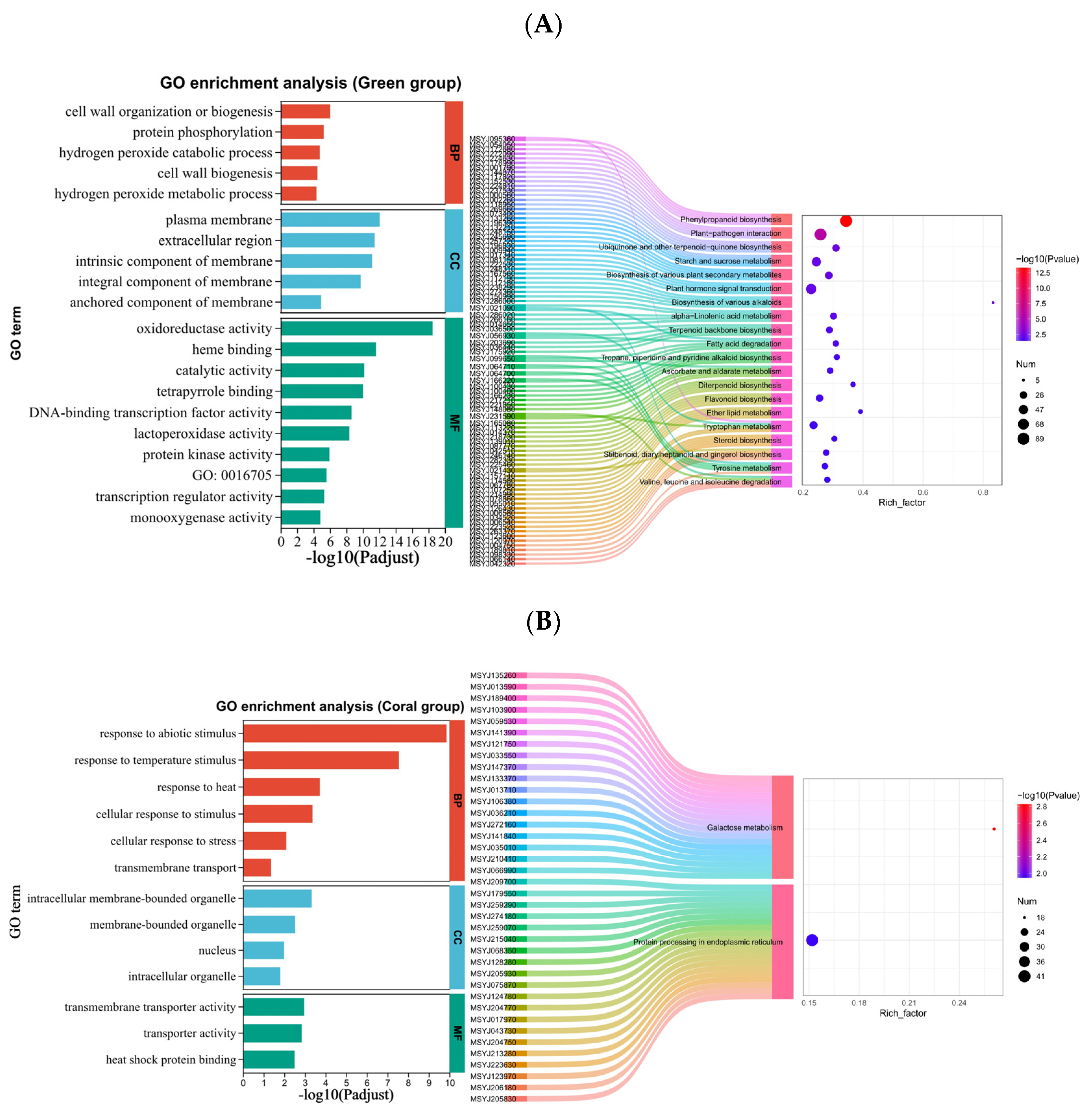 Horticulturae 10 01319 g003a
