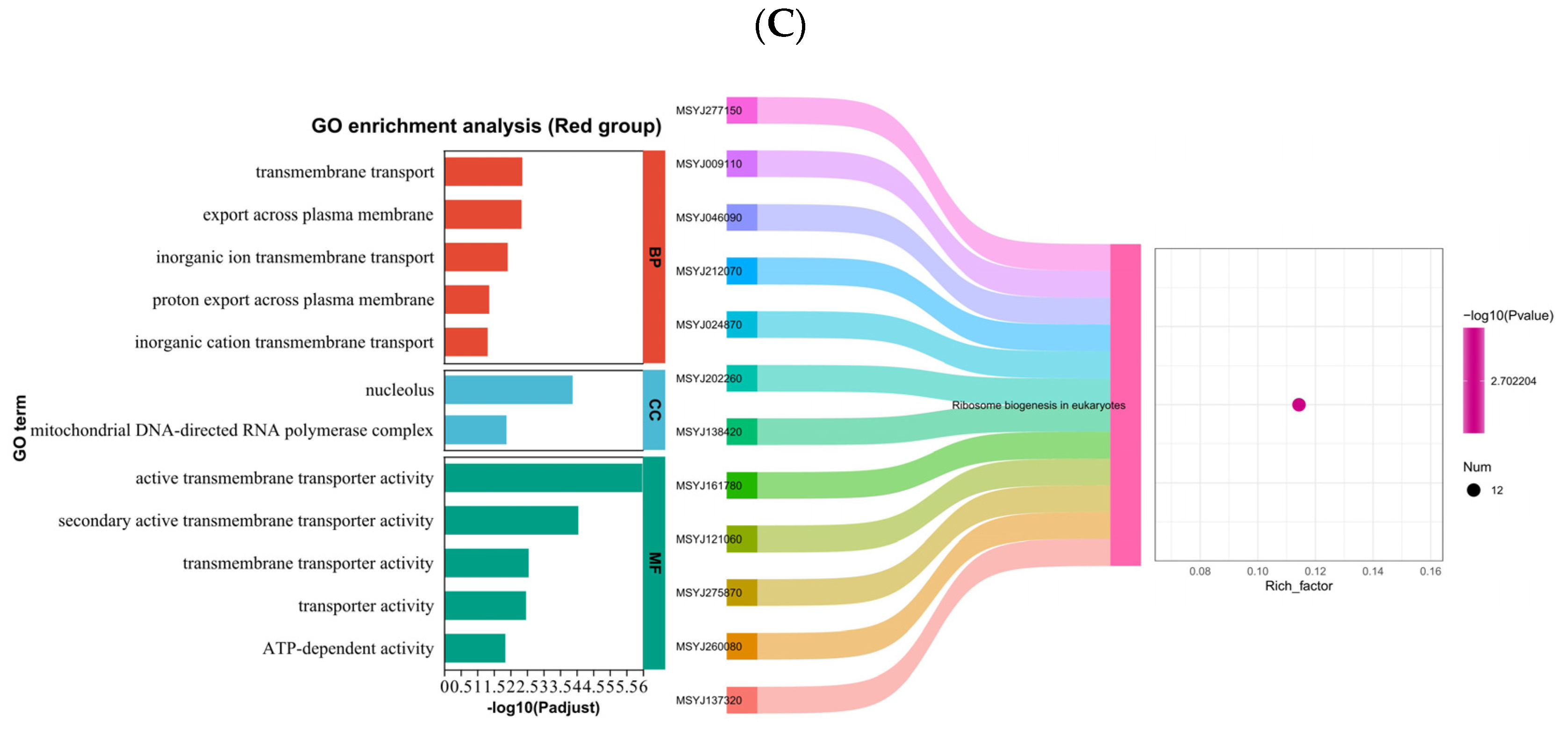 Horticulturae 10 01319 g003b