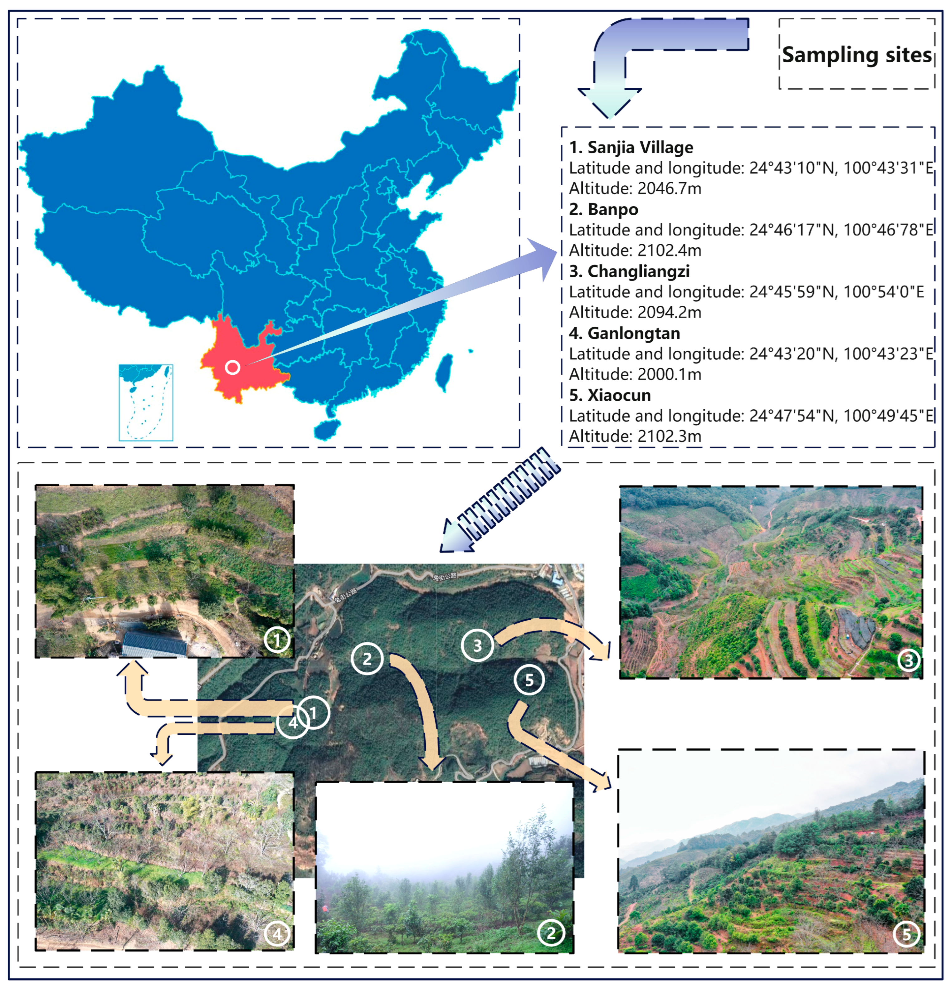 Horticulturae 10 01321 g001