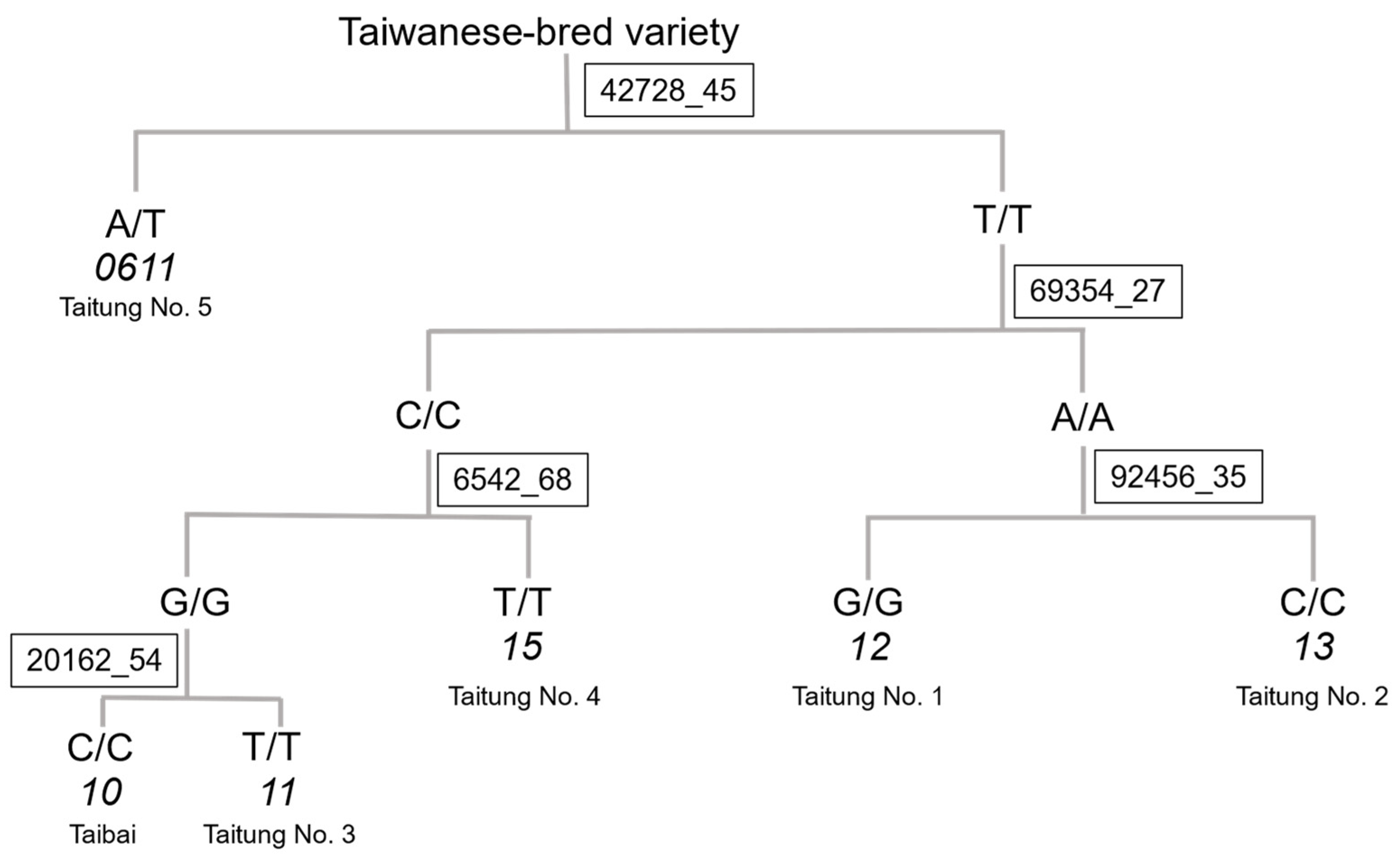 Horticulturae 10 01325 g0a2