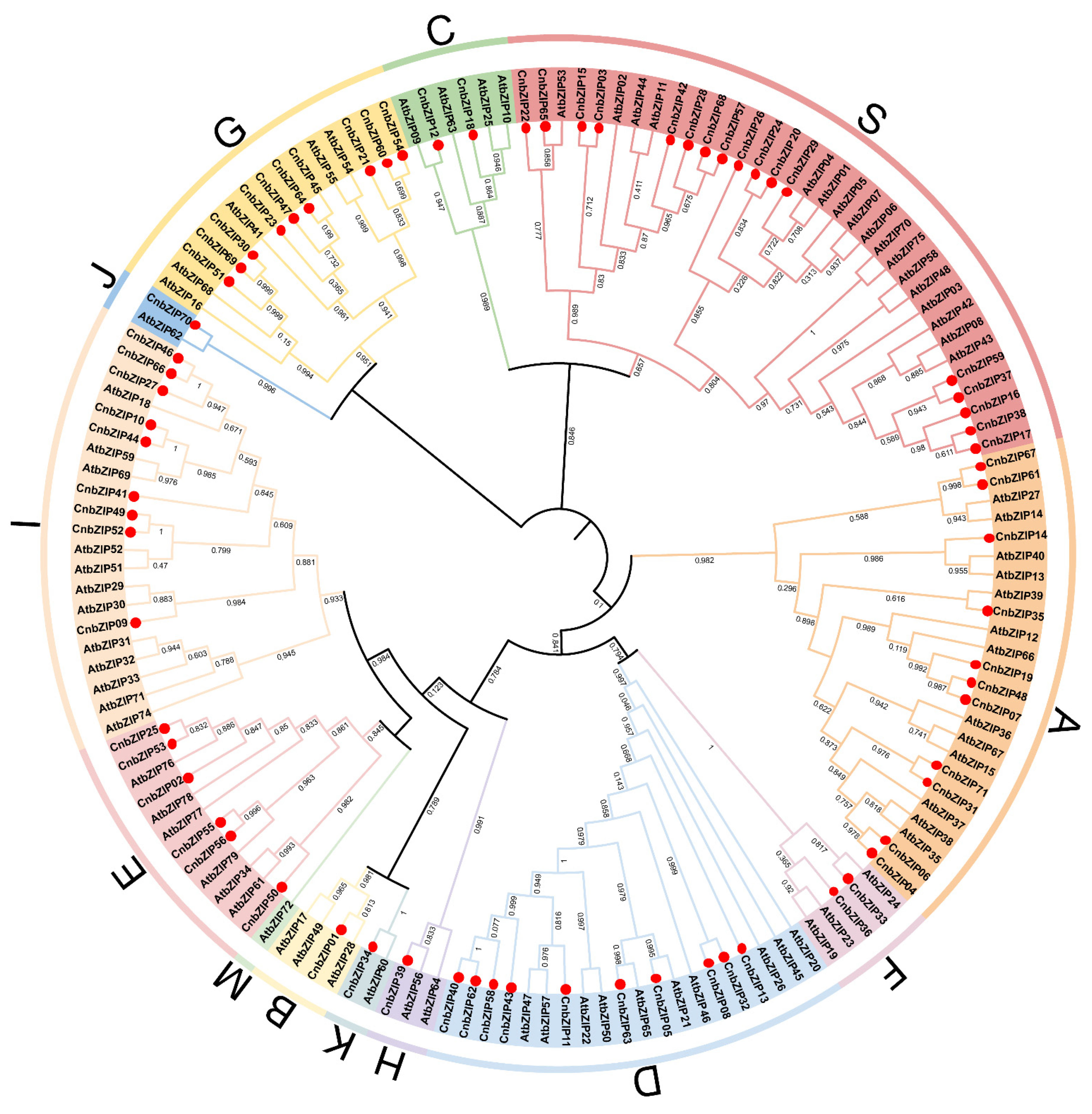 Horticulturae 10 01327 g001