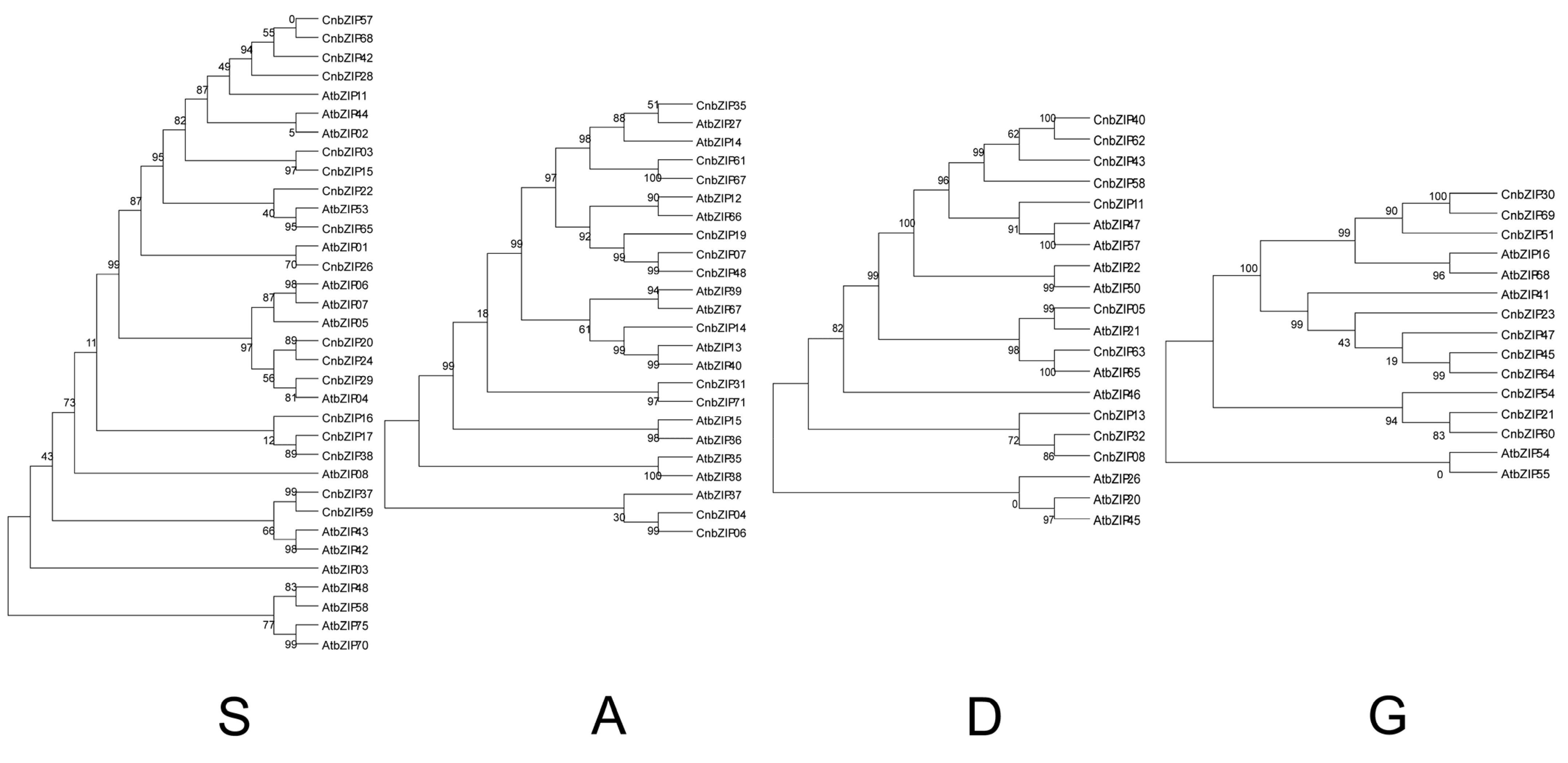 Horticulturae 10 01327 g002