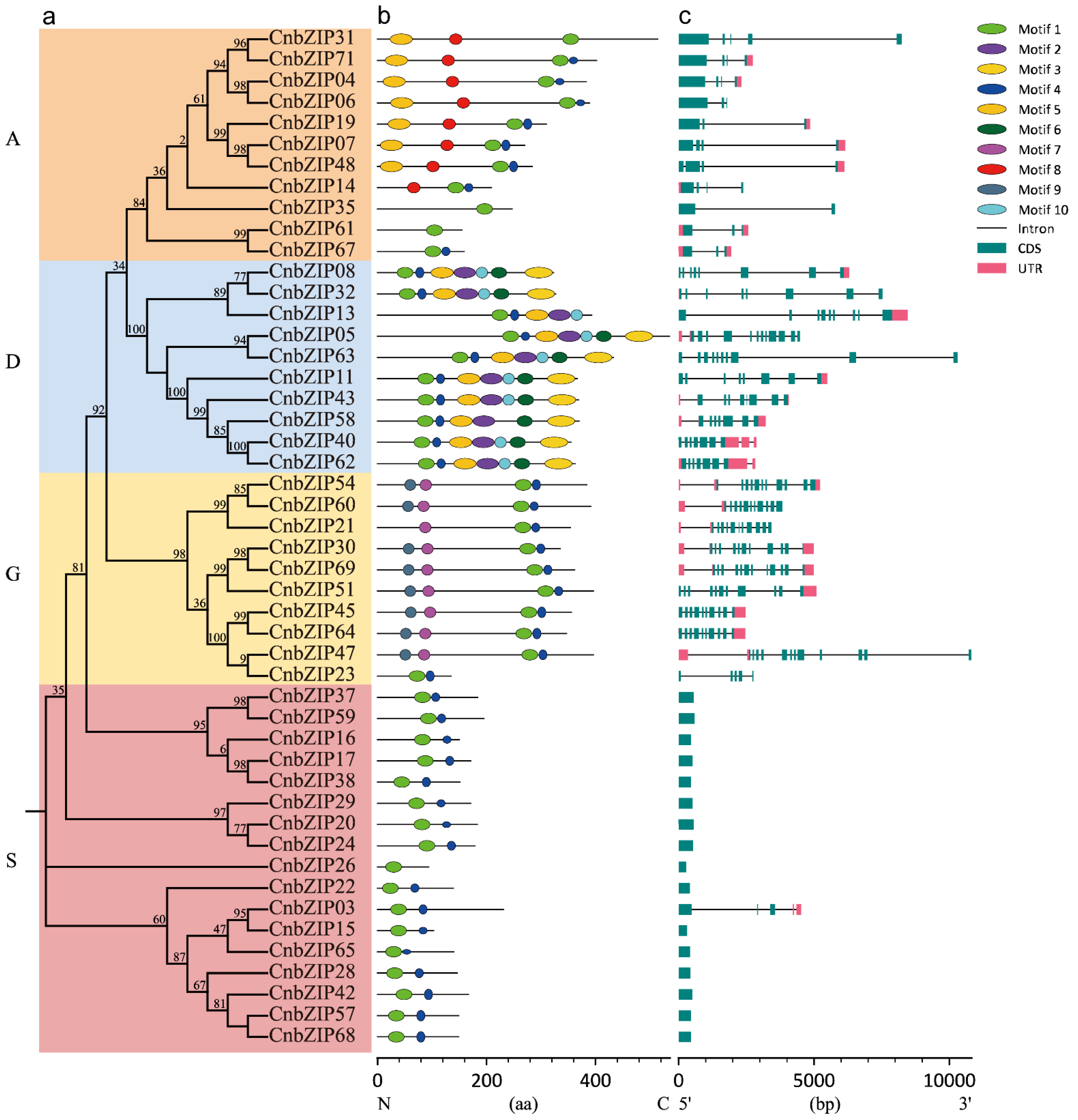 Horticulturae 10 01327 g004