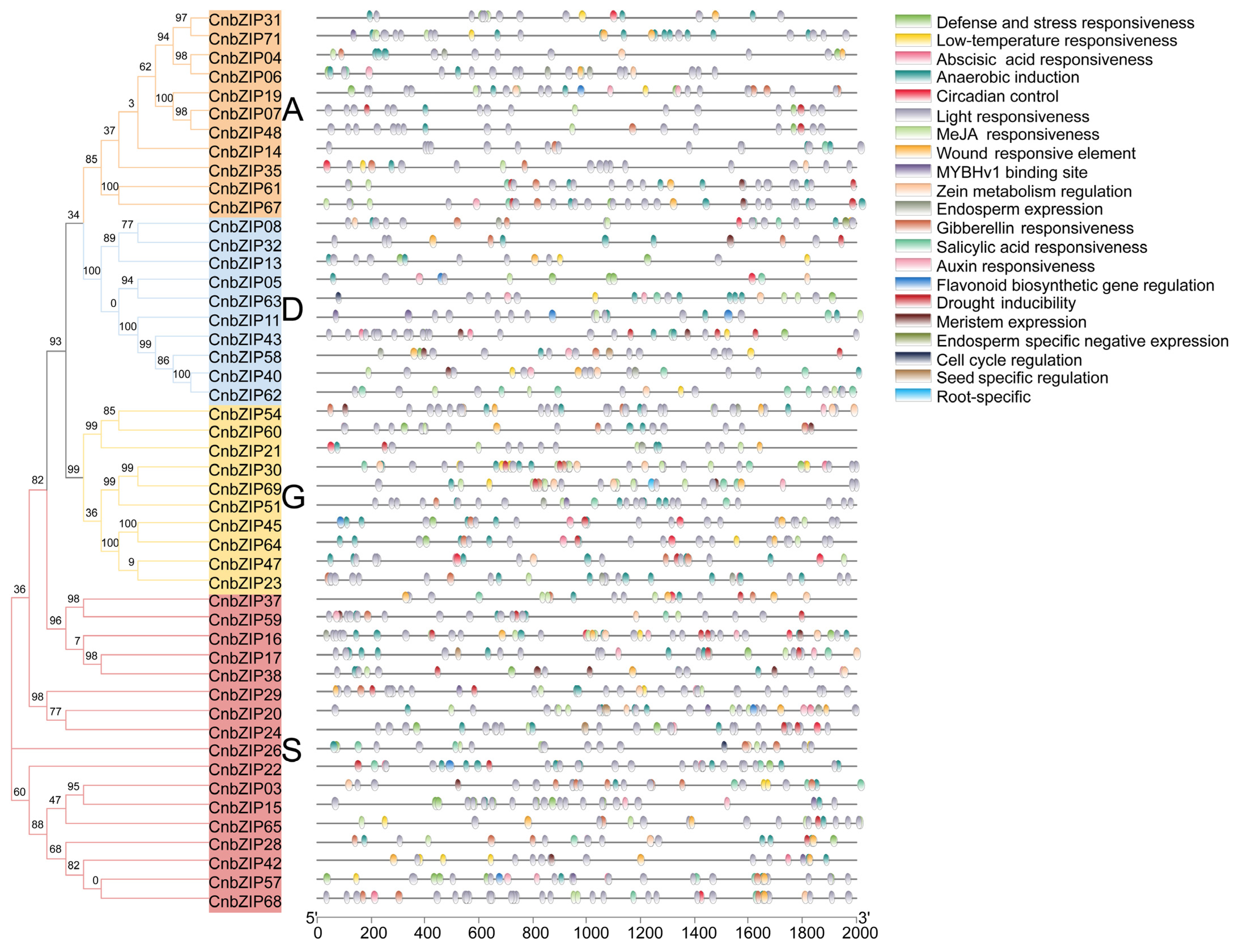 Horticulturae 10 01327 g005
