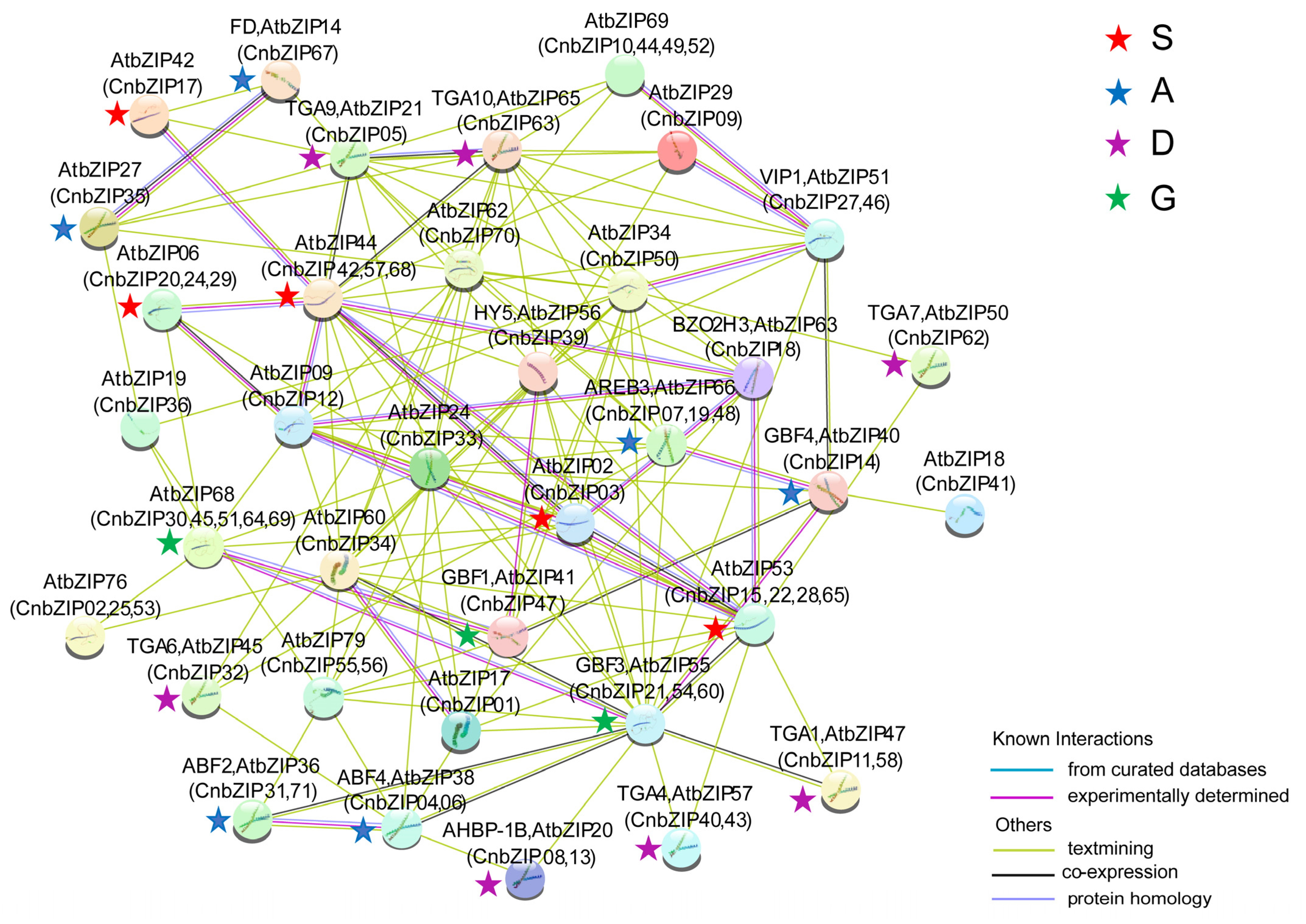 Horticulturae 10 01327 g008