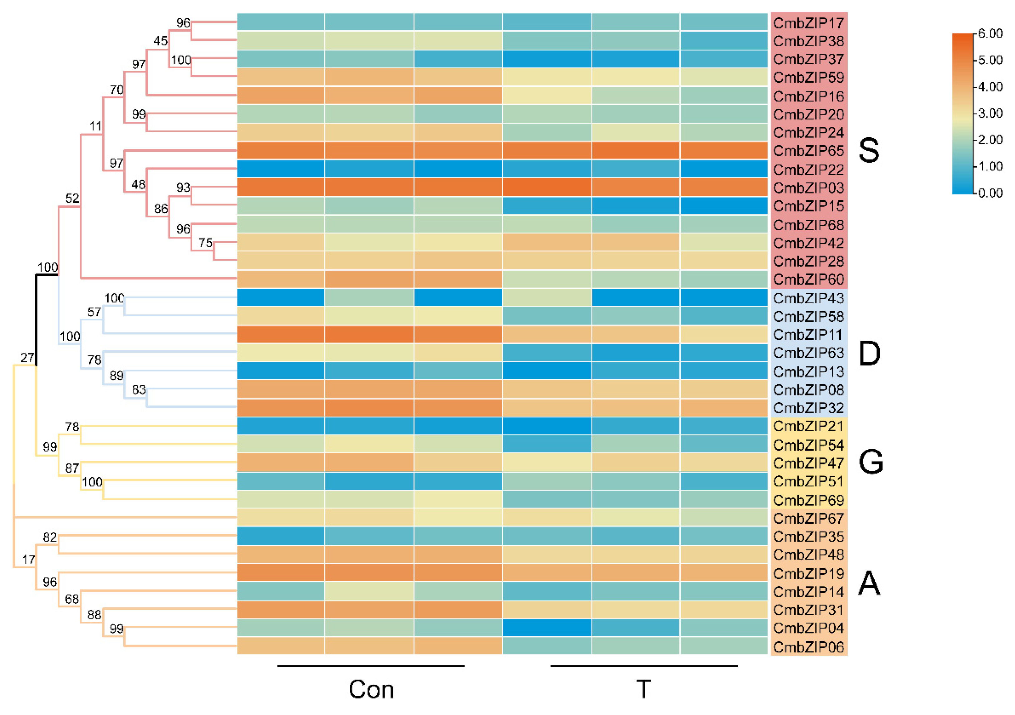 Horticulturae 10 01327 g010