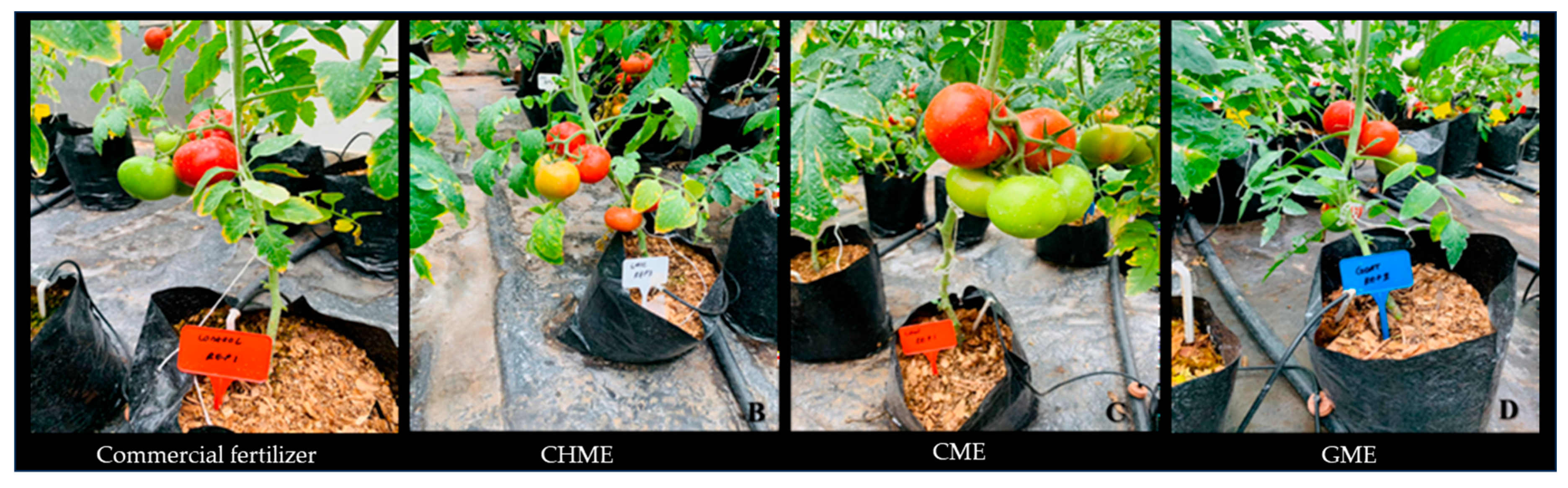 Horticulturae 10 01330 g001