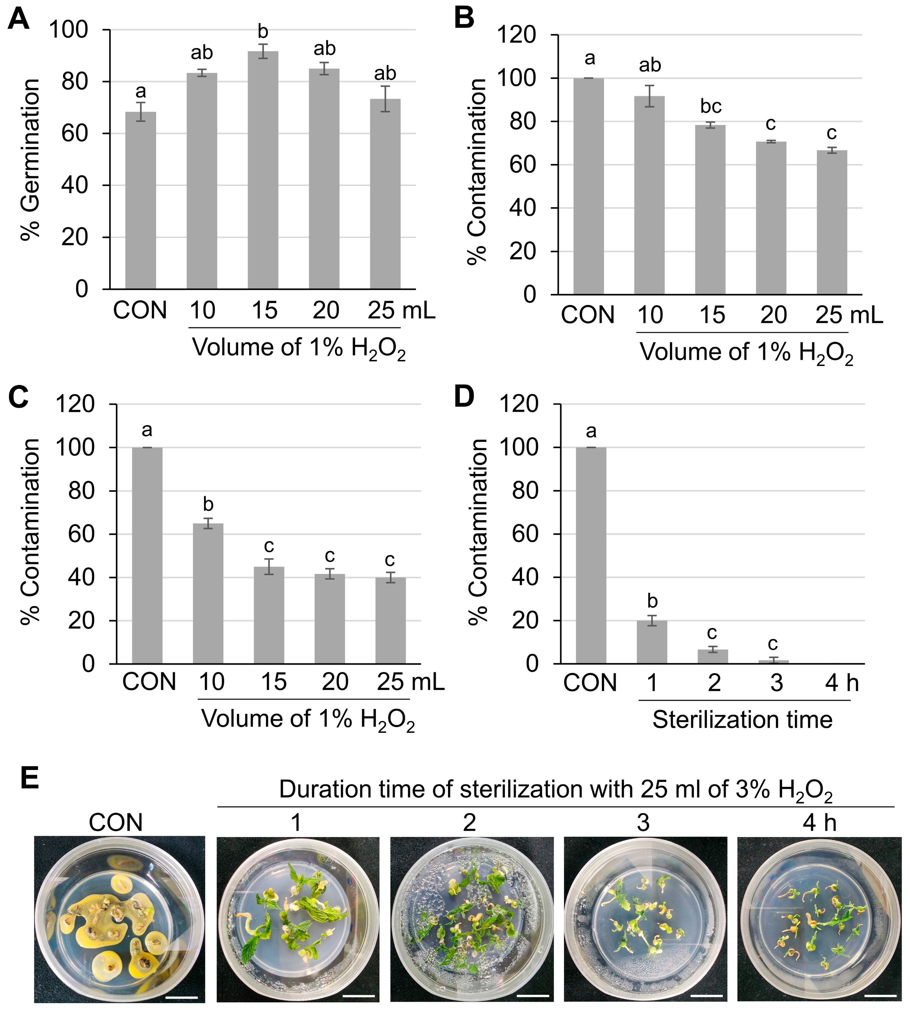Horticulturae 10 01331 g001