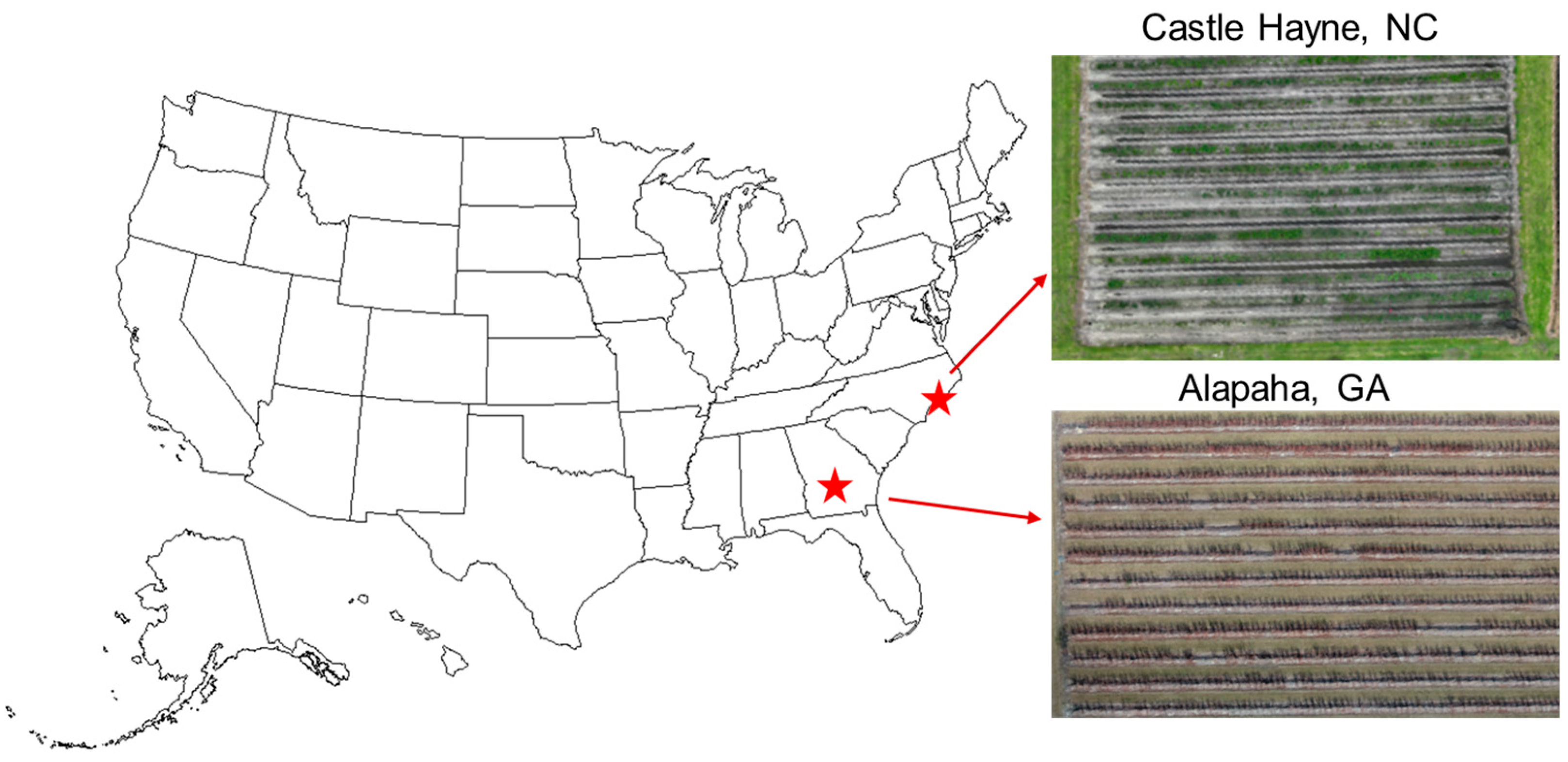 Horticulturae 10 01332 g001