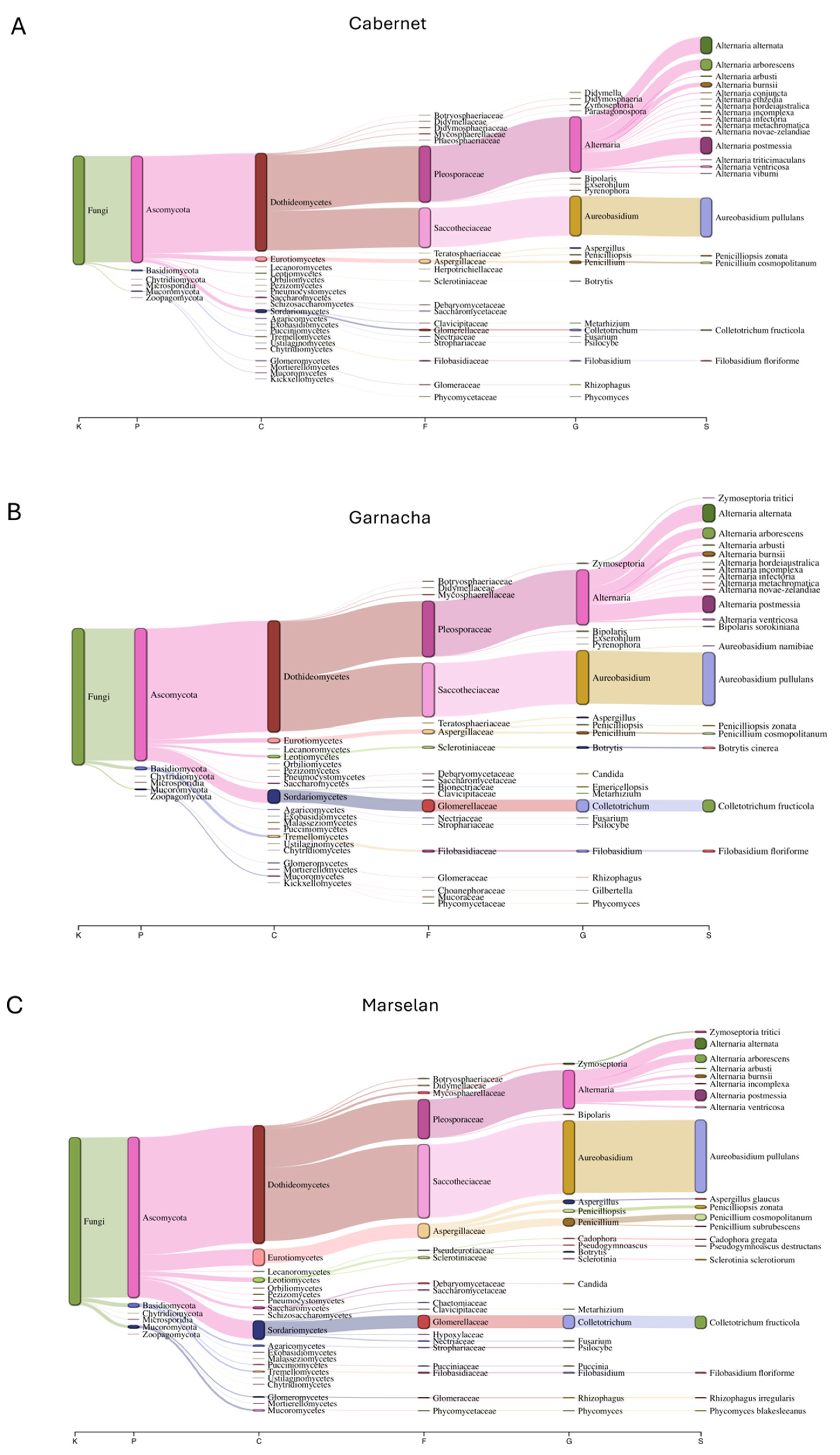 Horticulturae 10 01333 g002