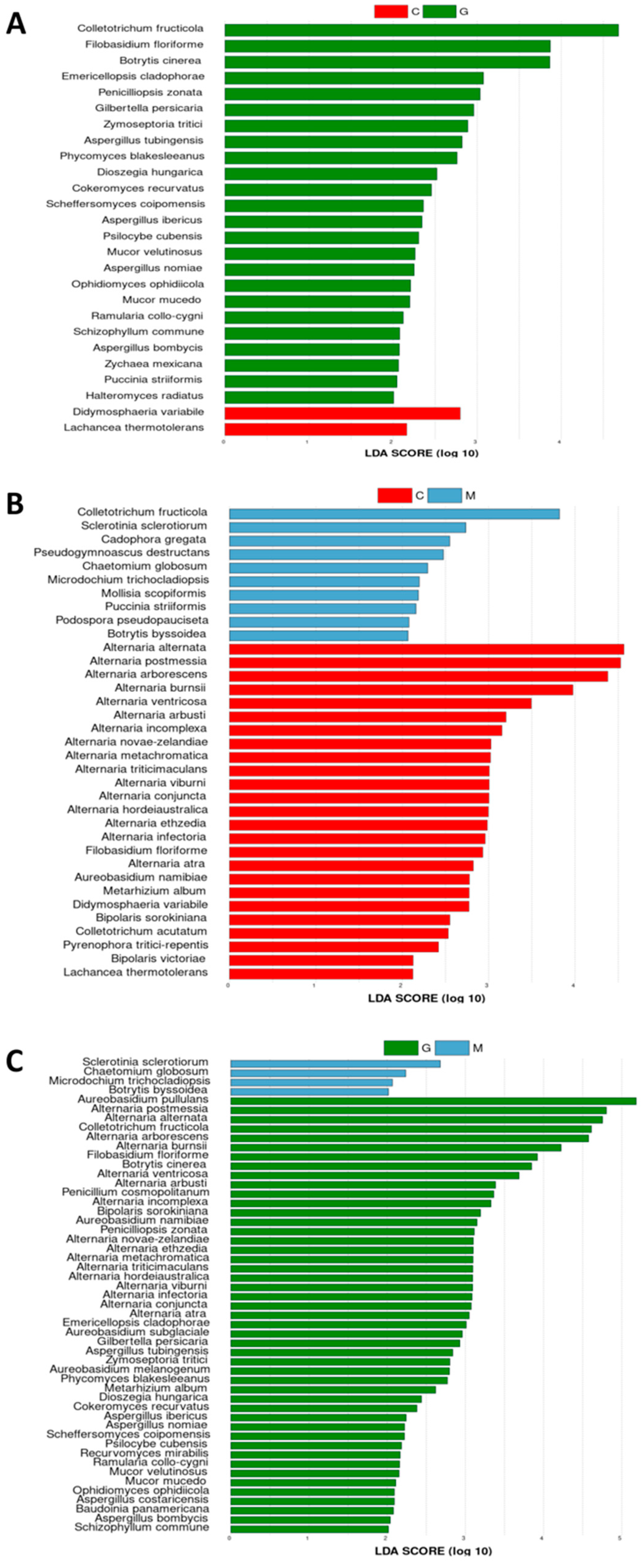 Horticulturae 10 01333 g003
