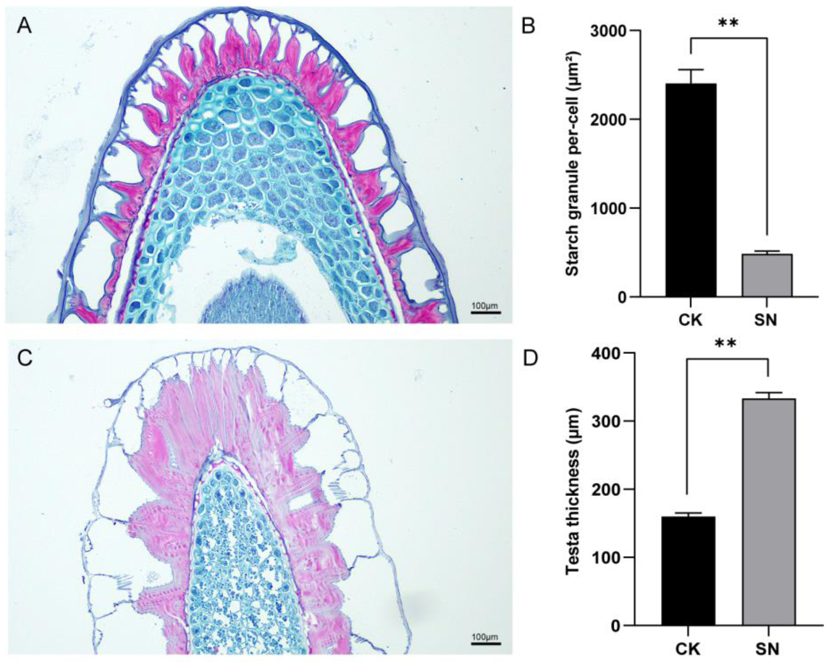 Horticulturae 10 01342 g002