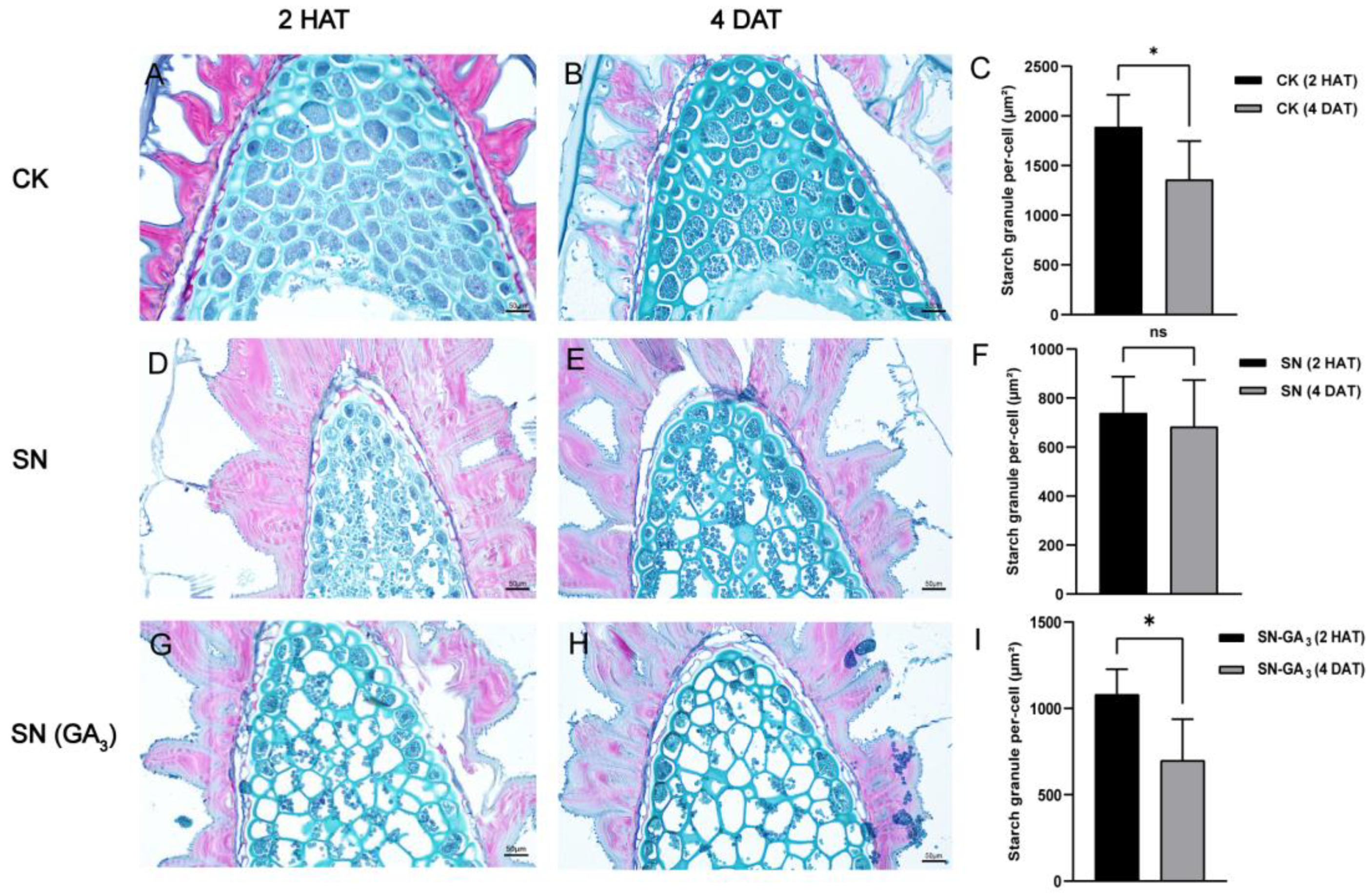 Horticulturae 10 01342 g003