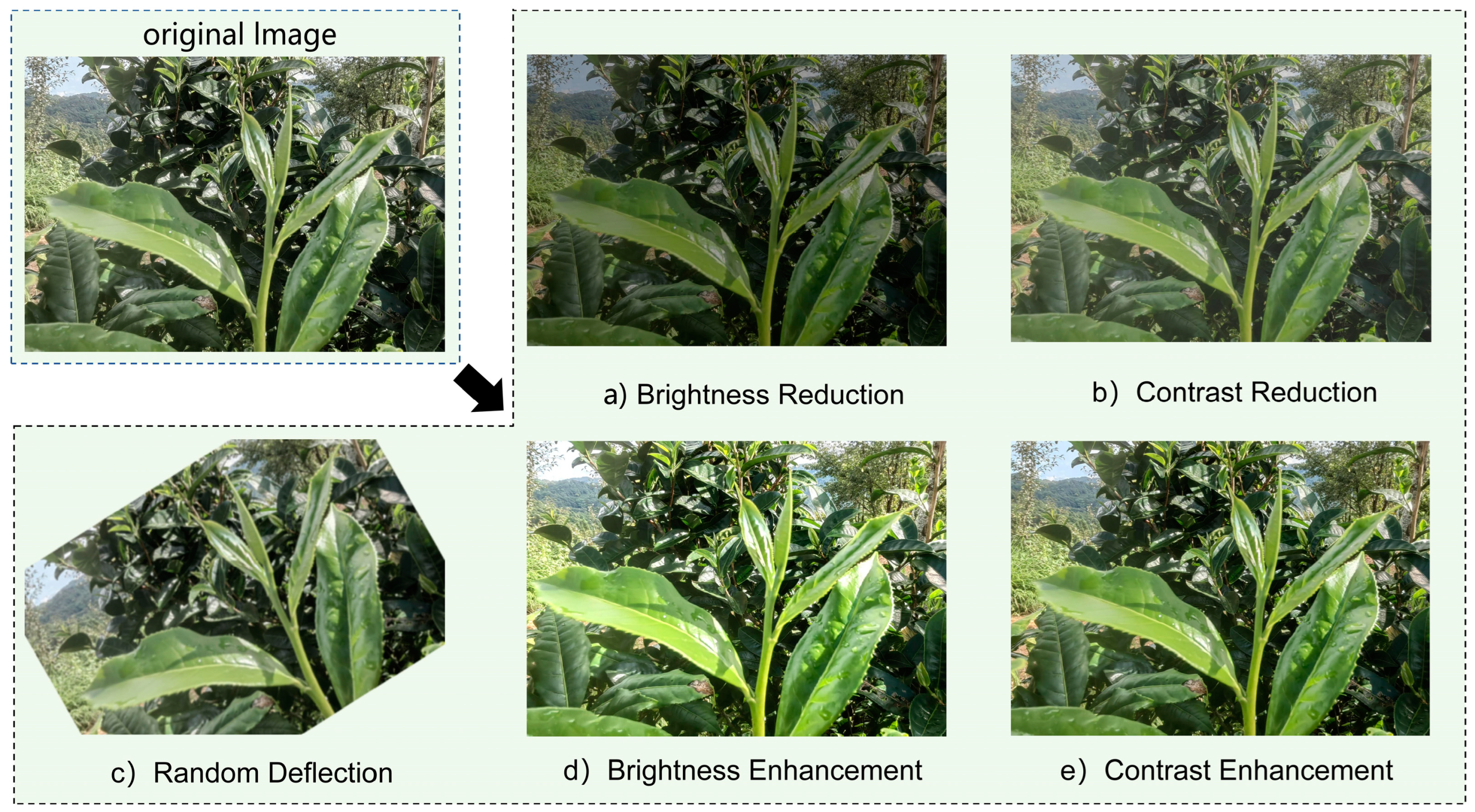 Horticulturae 10 01347 g002