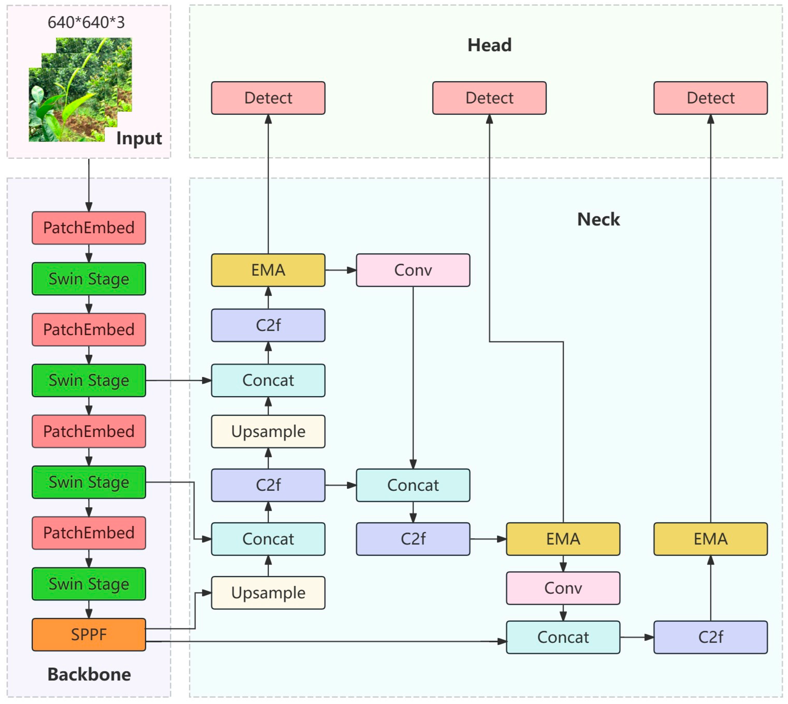 Horticulturae 10 01347 g003