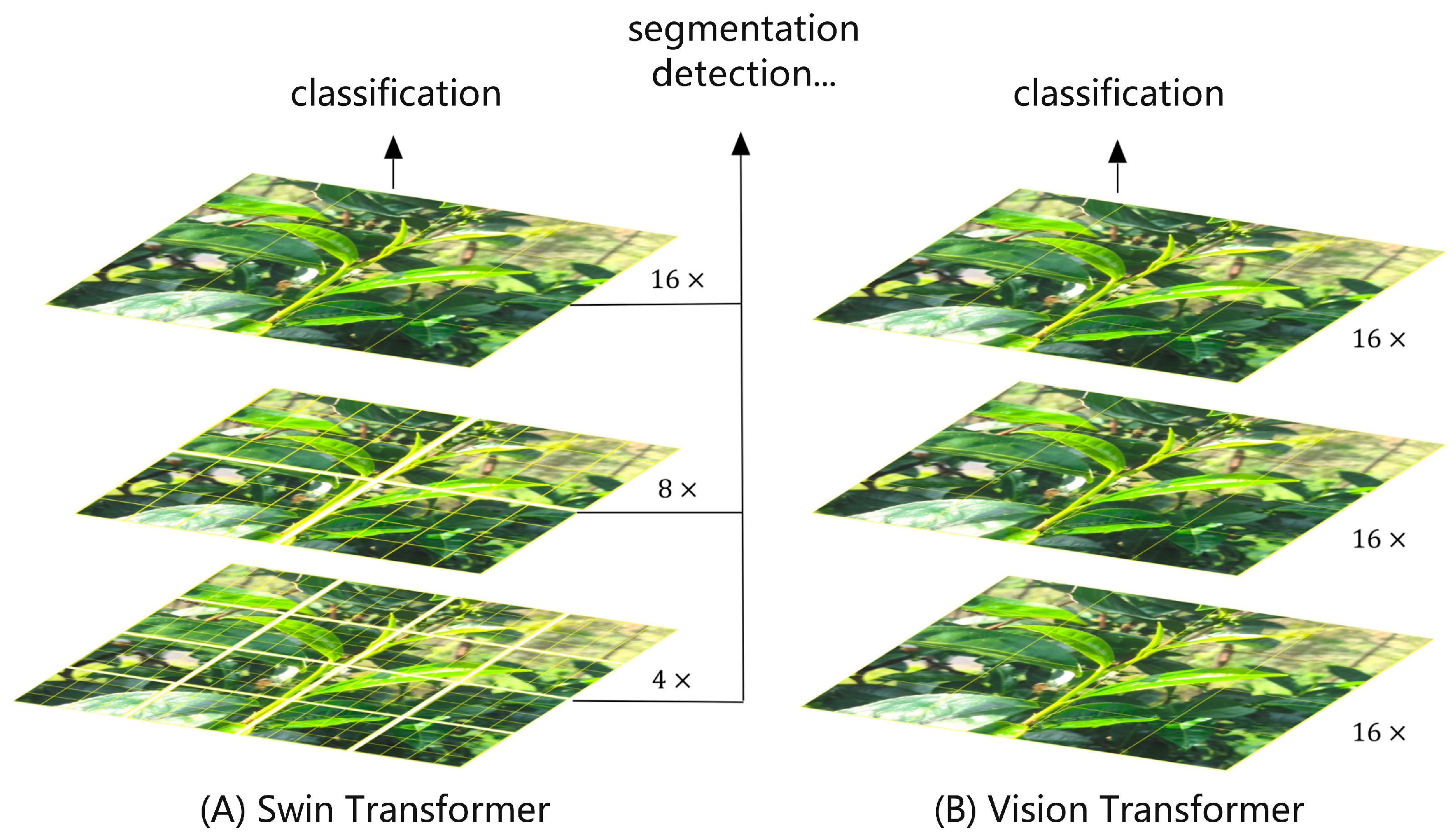 Horticulturae 10 01347 g004