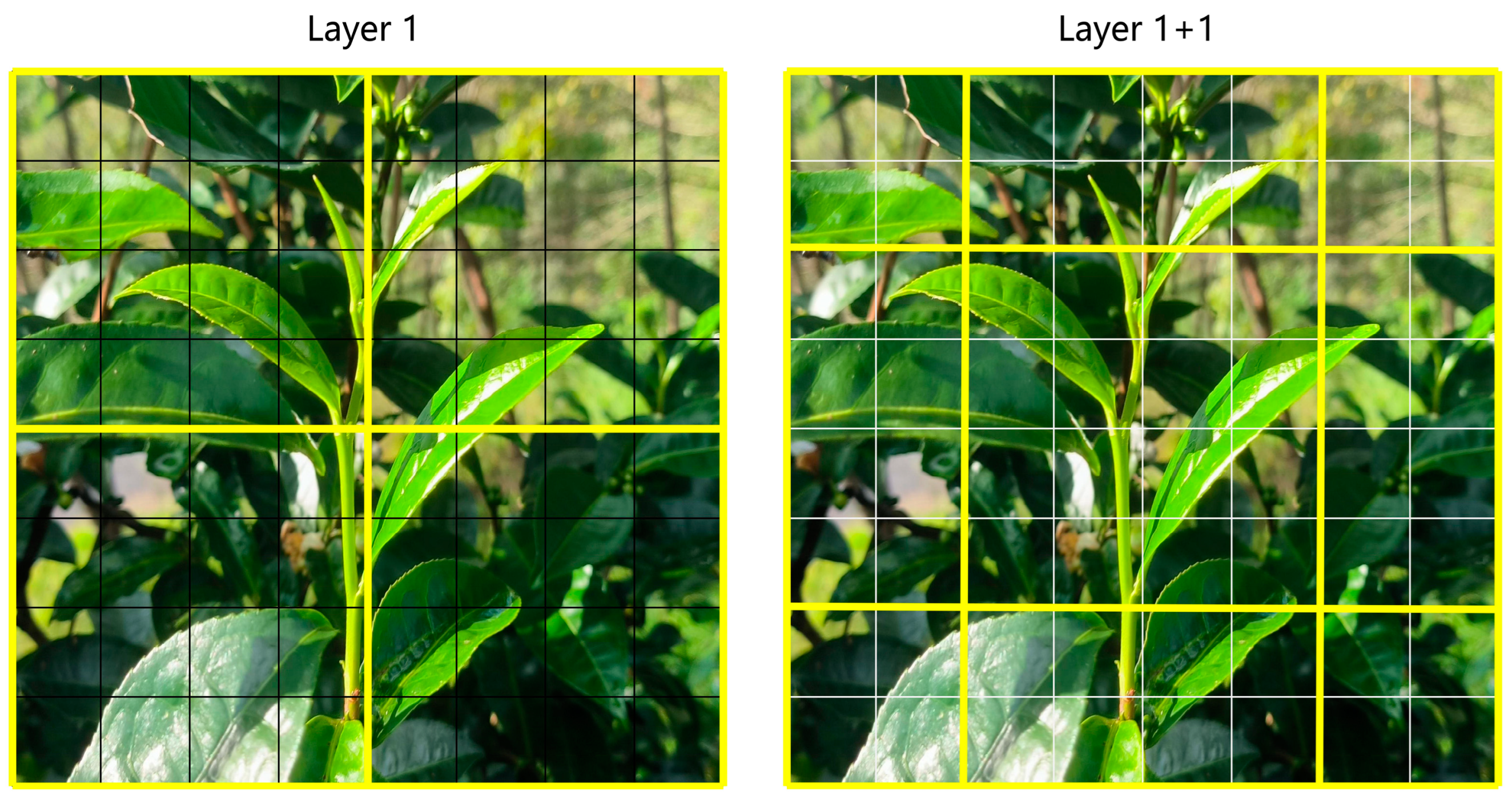 Horticulturae 10 01347 g006