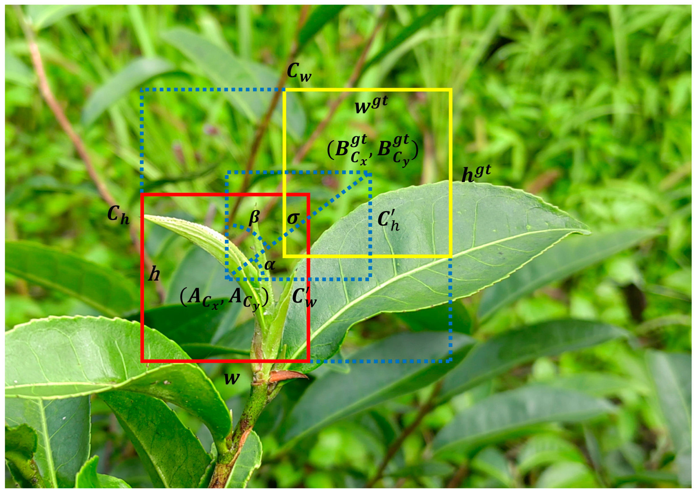 Horticulturae 10 01347 g008