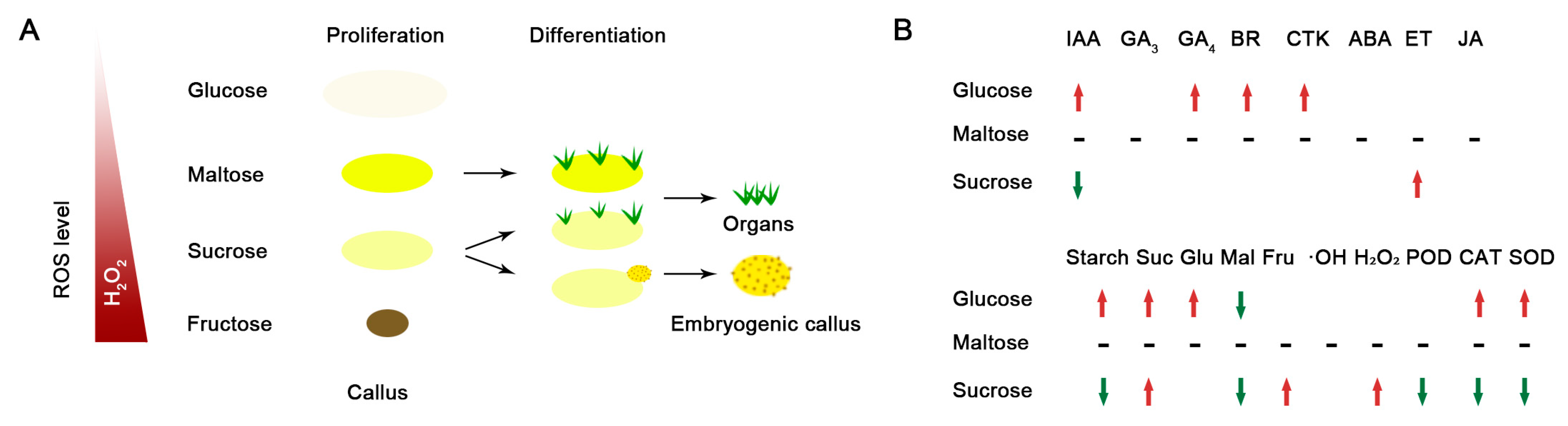 Horticulturae 10 01350 g008