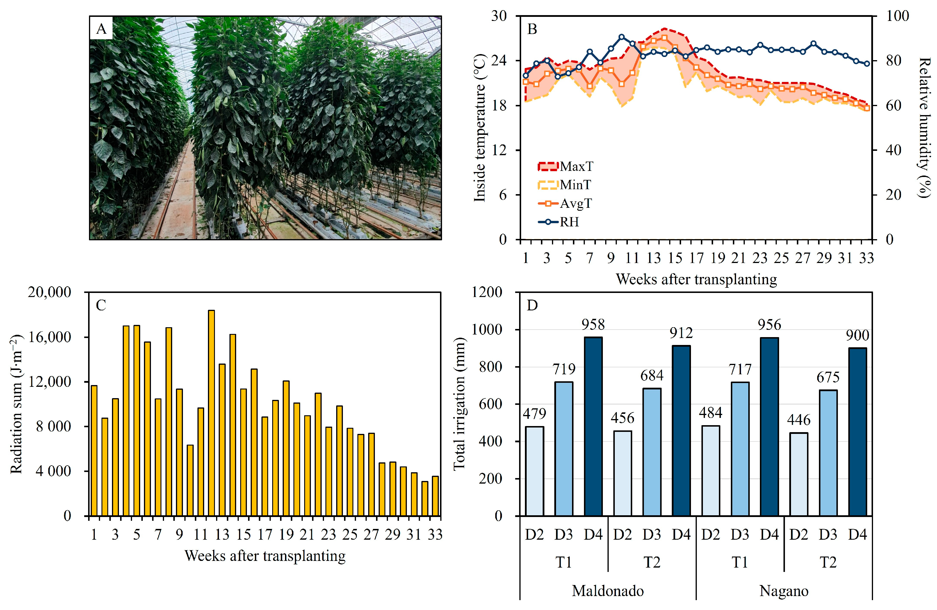 Horticulturae 10 01353 g001