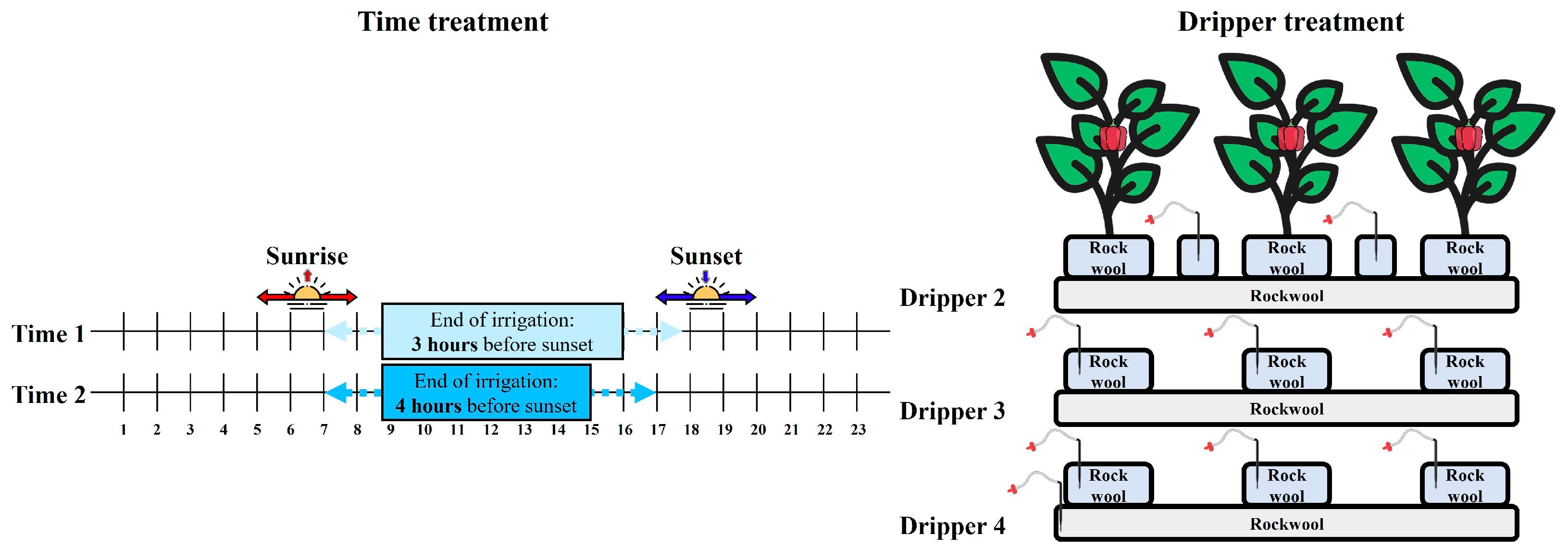 Horticulturae 10 01353 g002