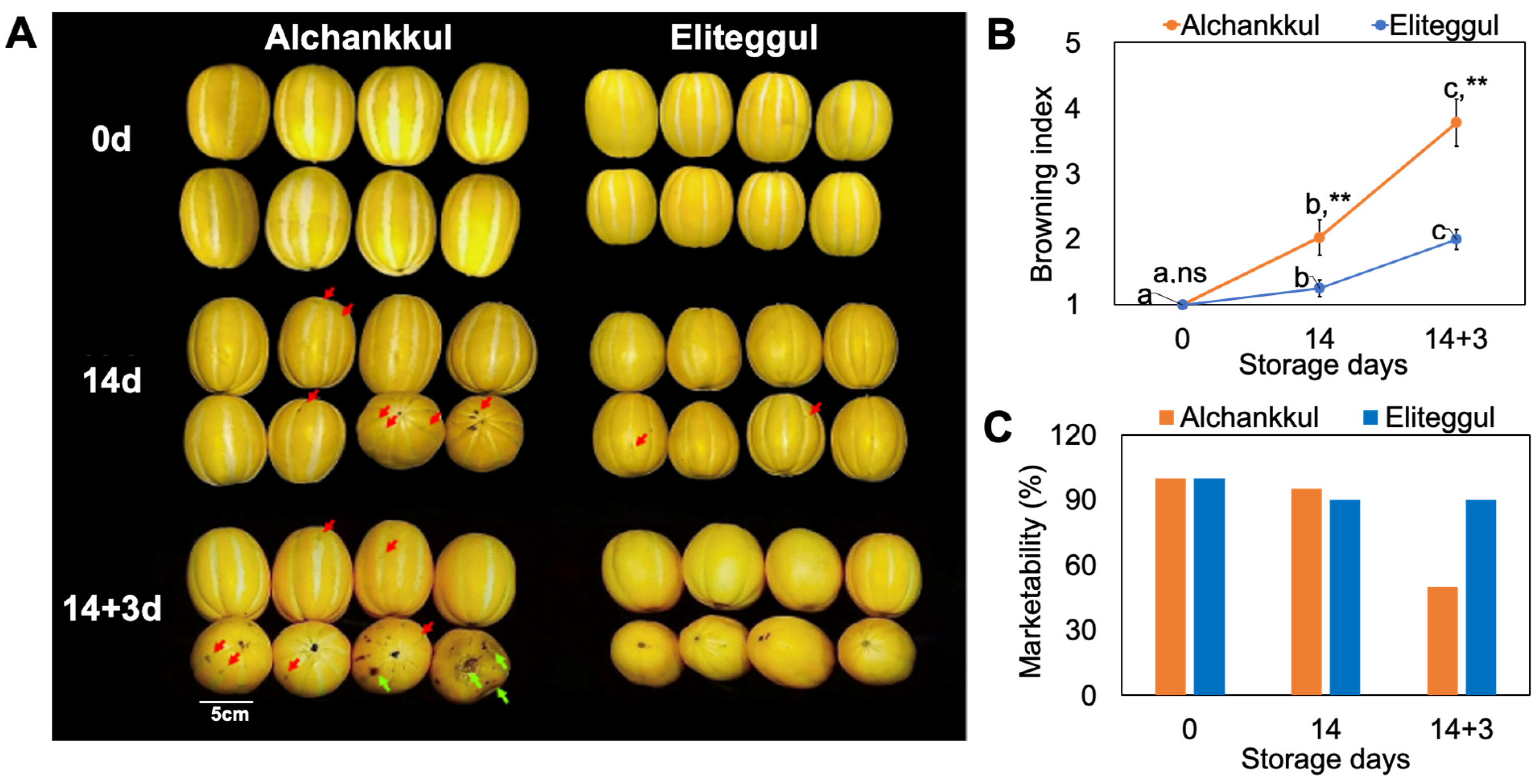 Horticulturae 10 01354 g002