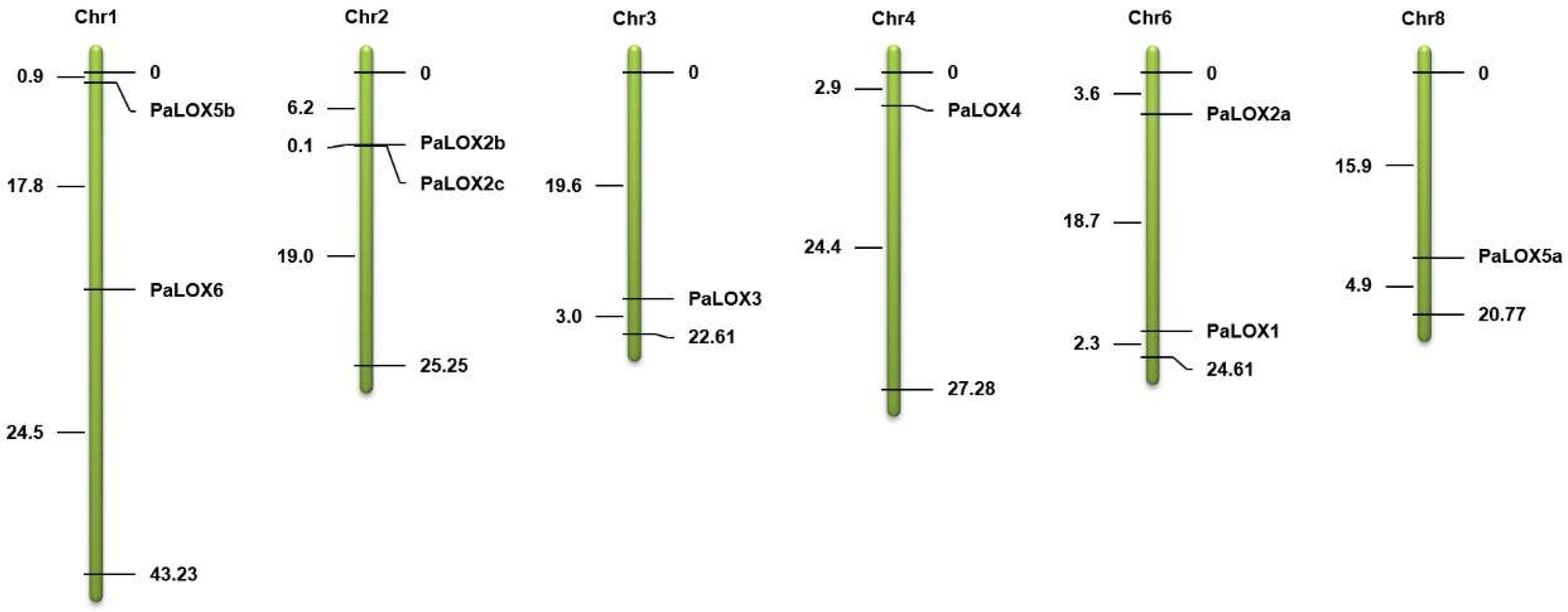 Horticulturae 10 01361 g002