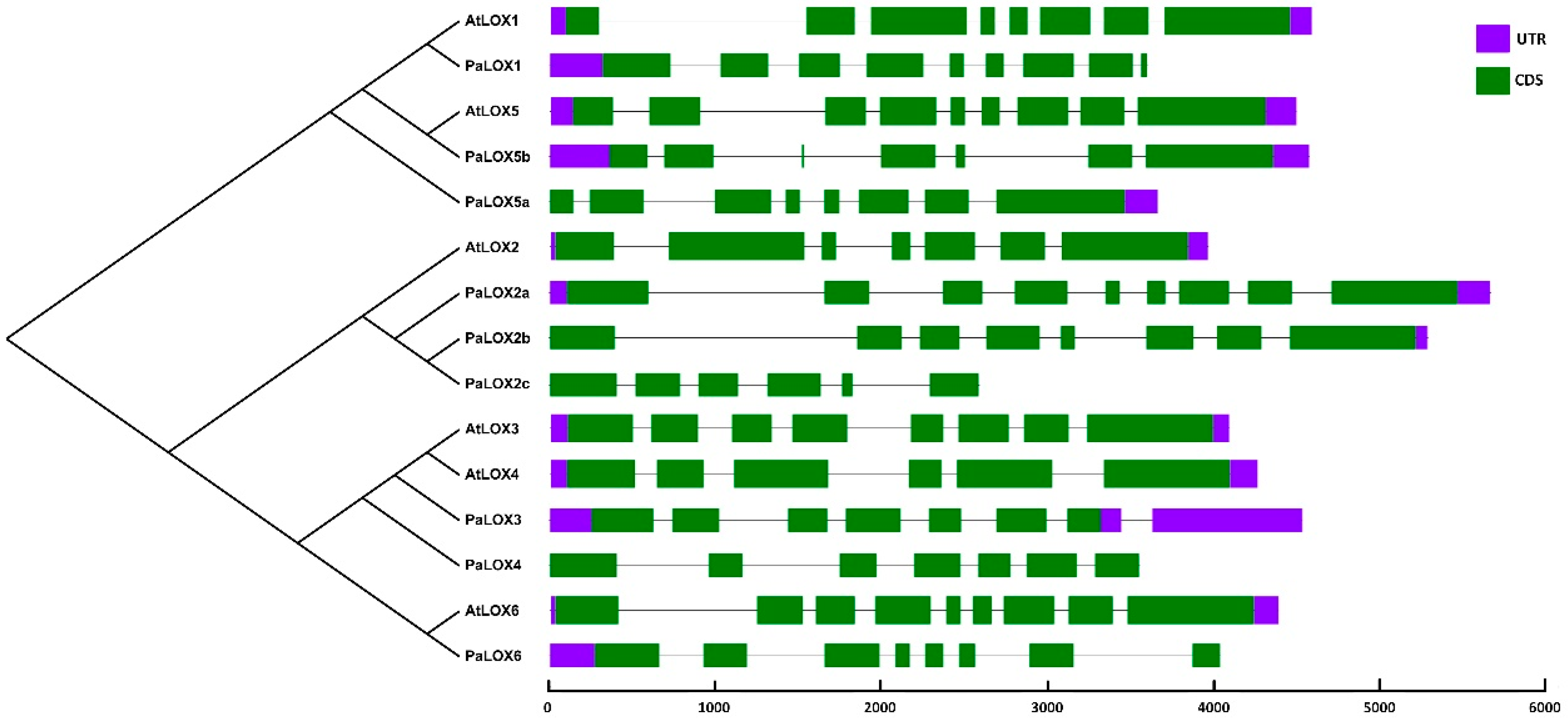 Horticulturae 10 01361 g003